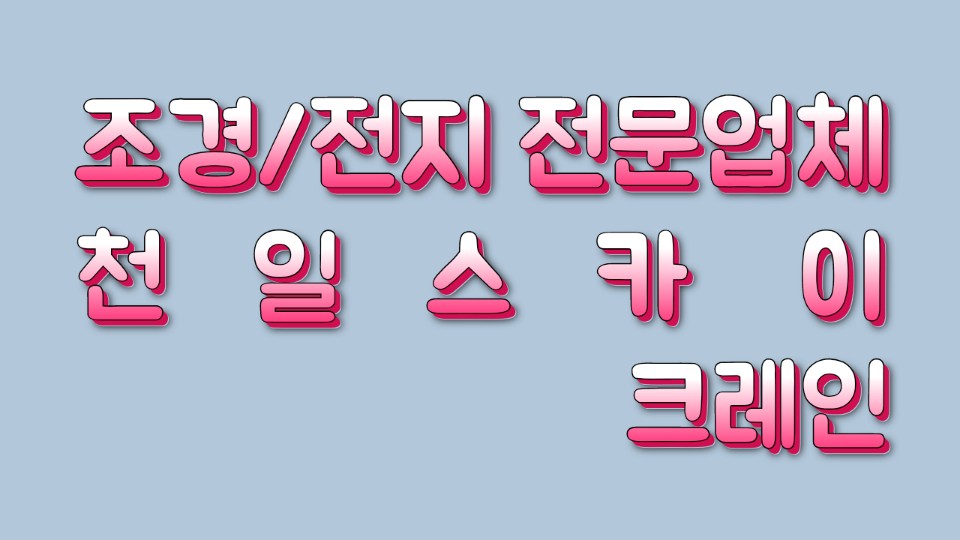 천일스카이