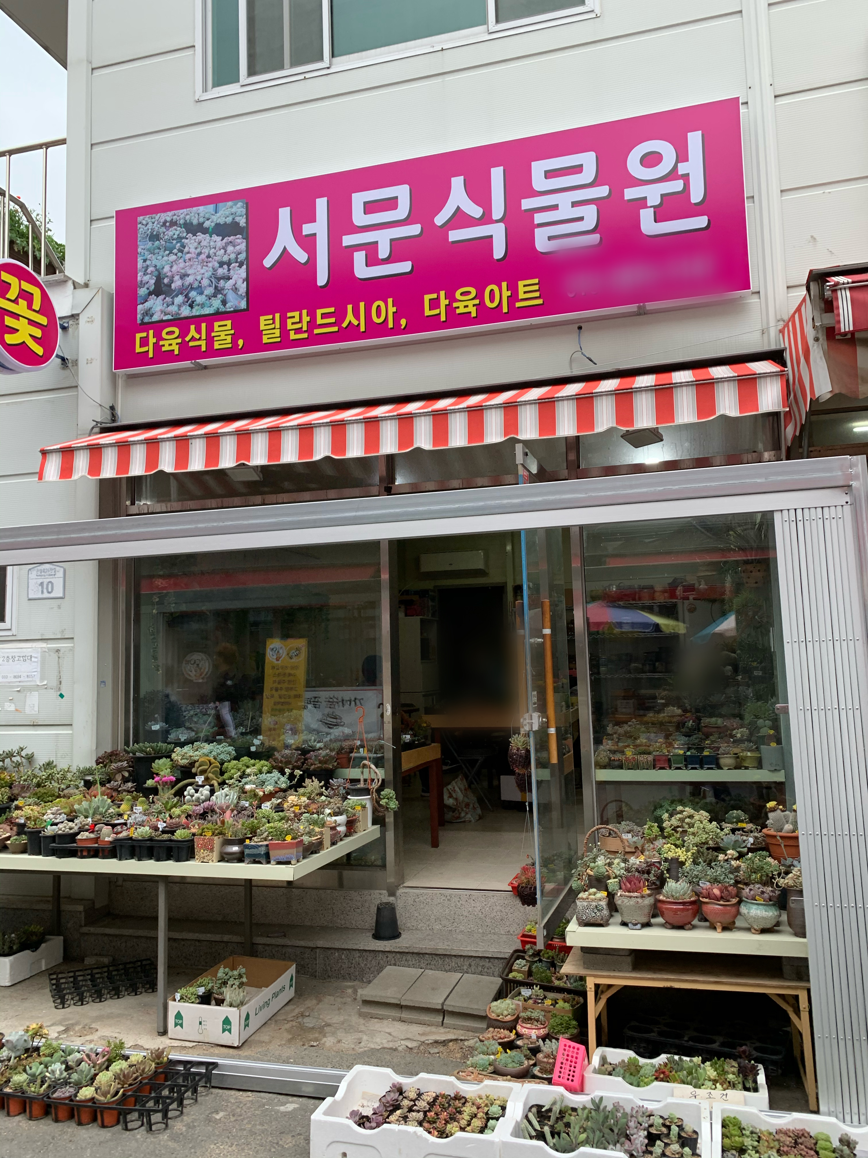 서문식물원