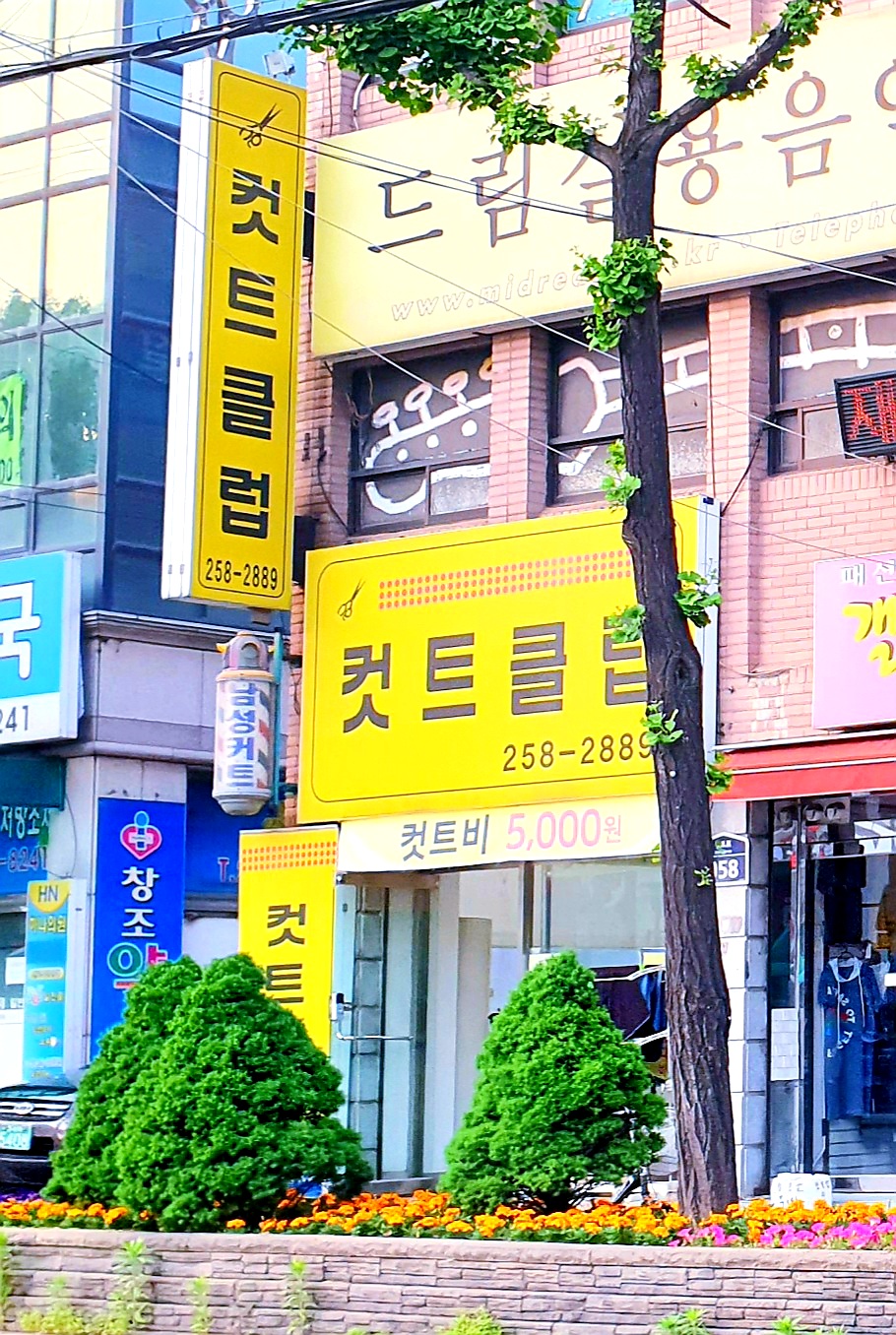 컷트클럽