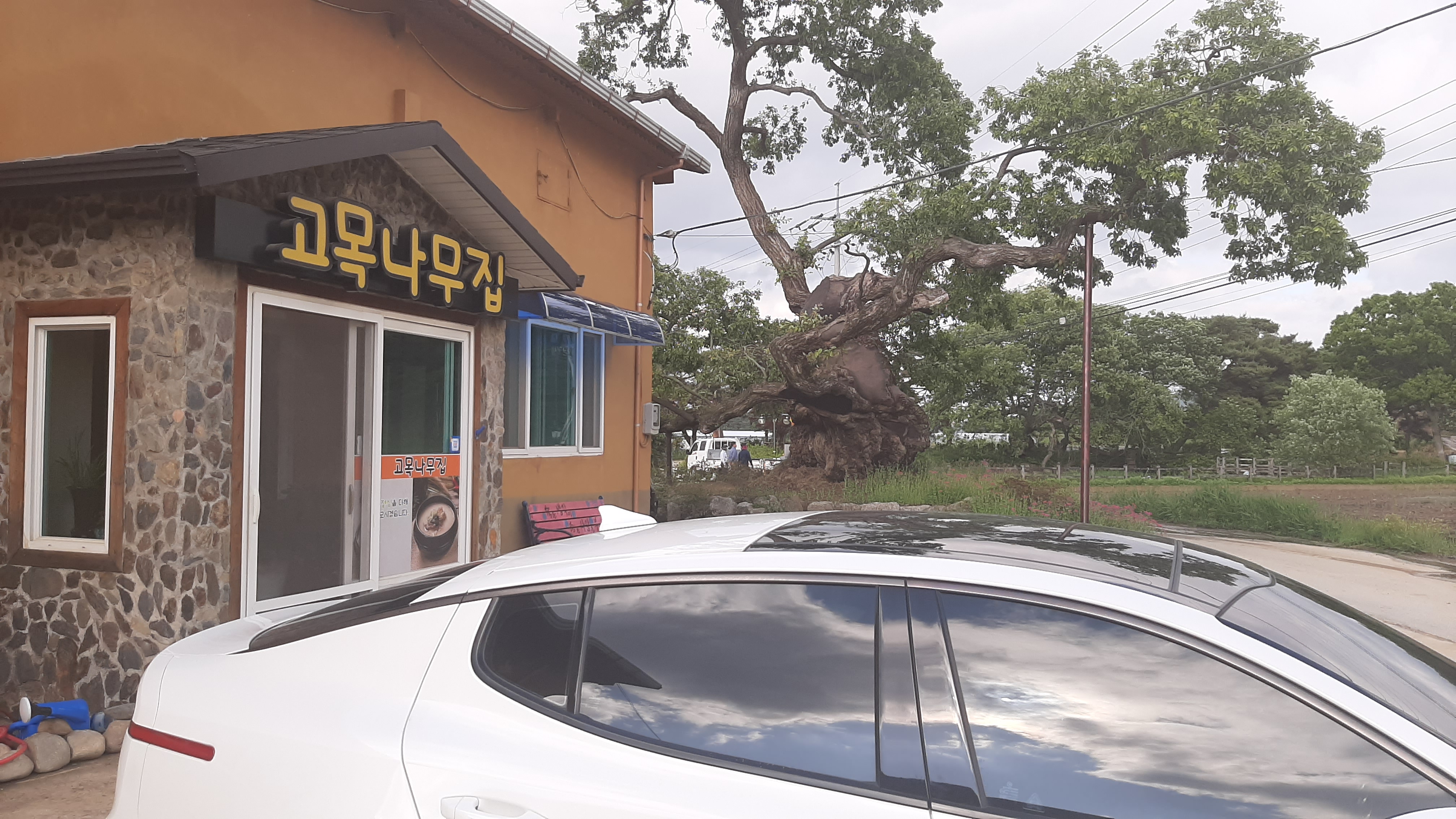 고목나무집 설명사진