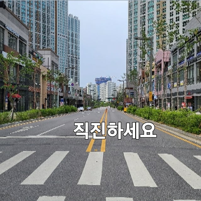 코몽 붕어빵