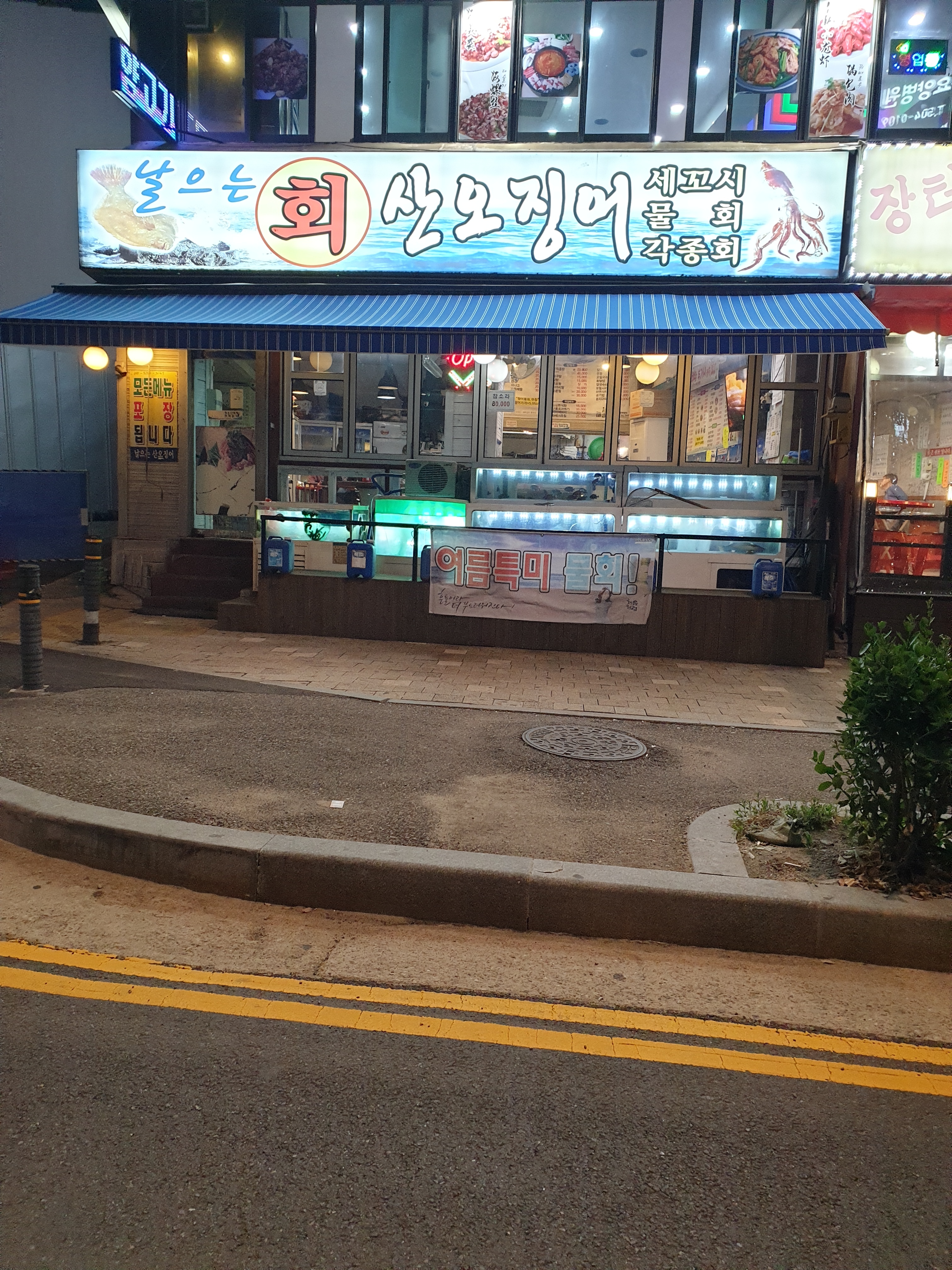 날으는산오징어