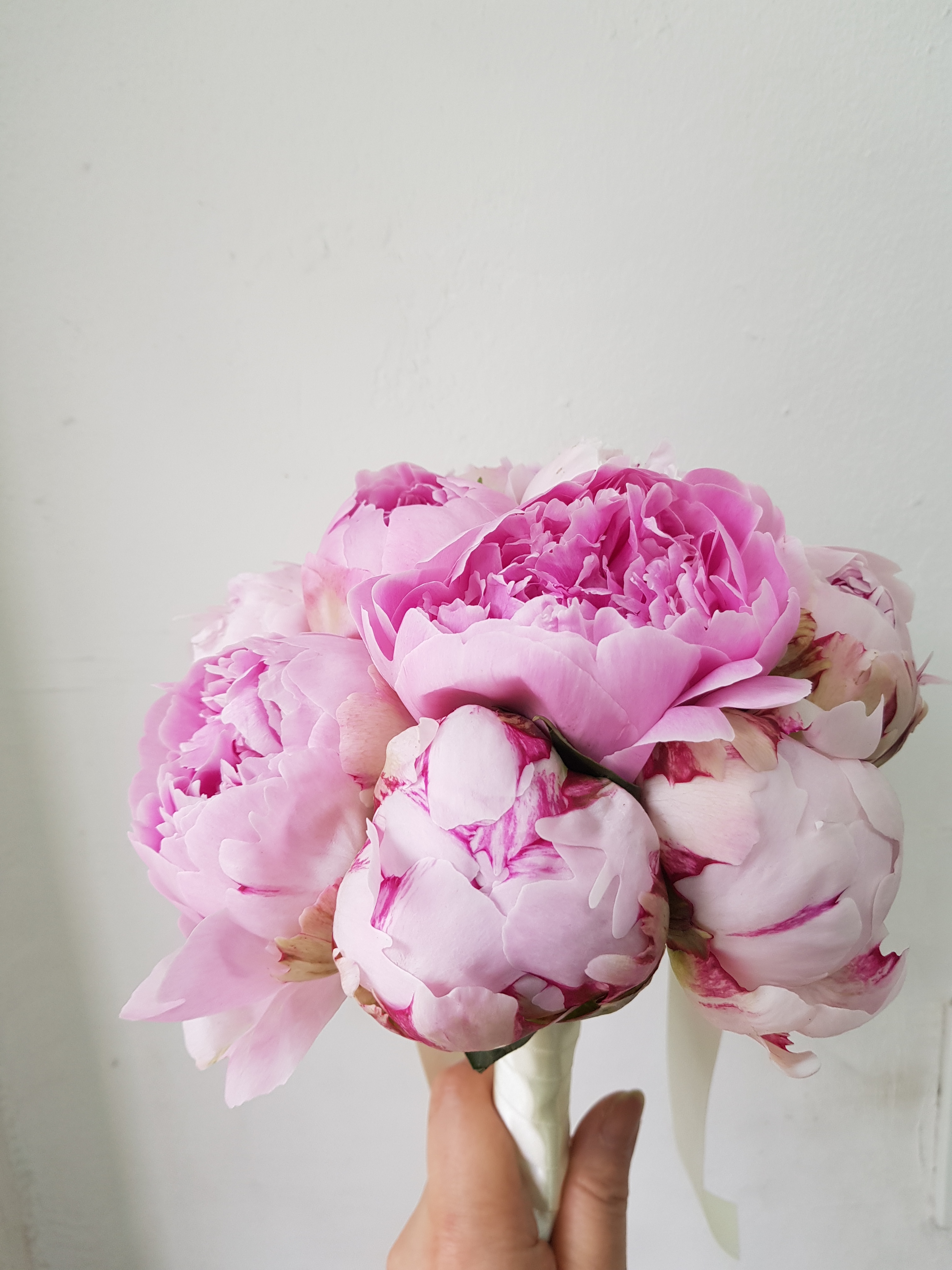 아이비부케 대표 이미지