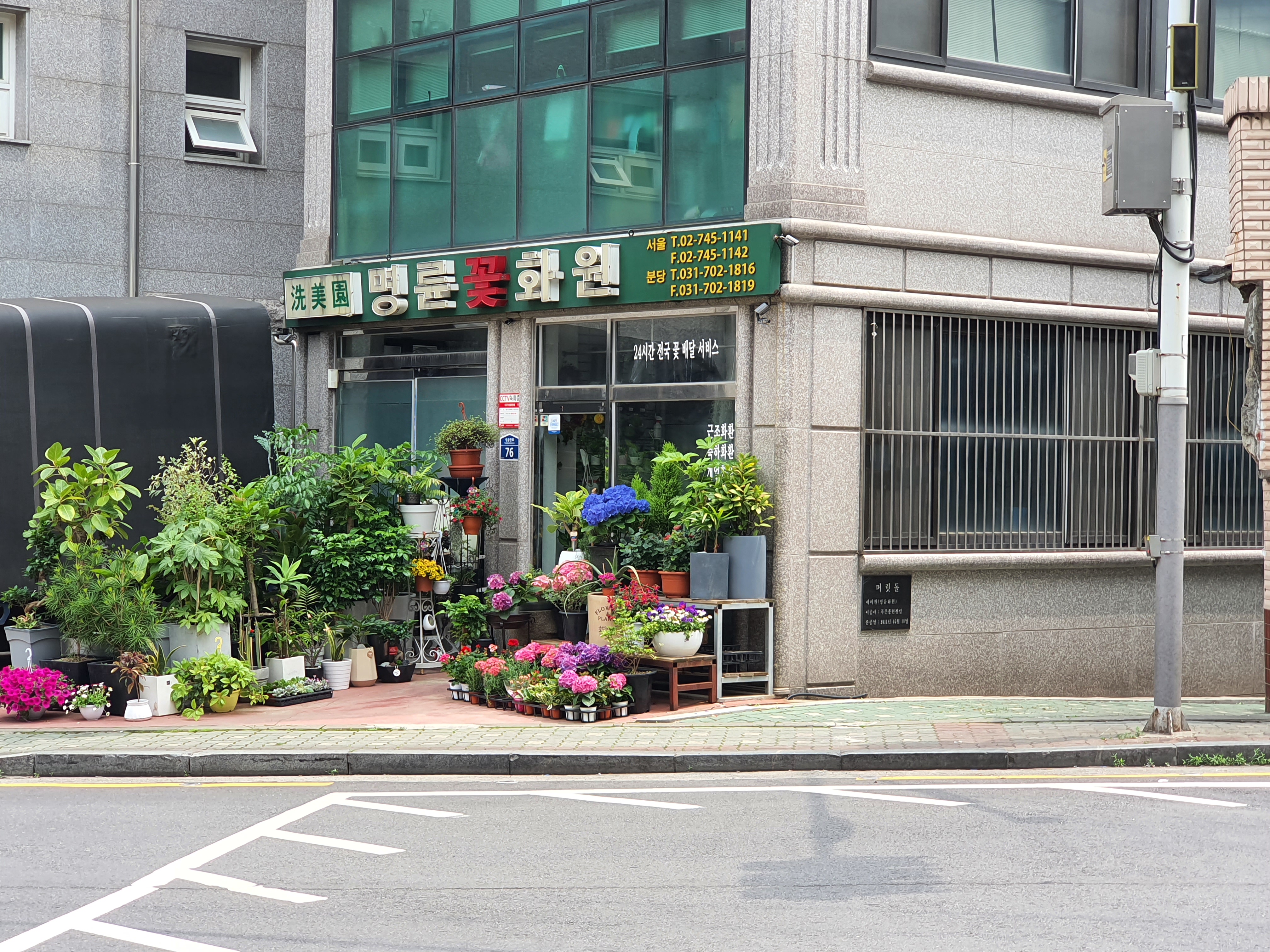 명륜꽃화원
