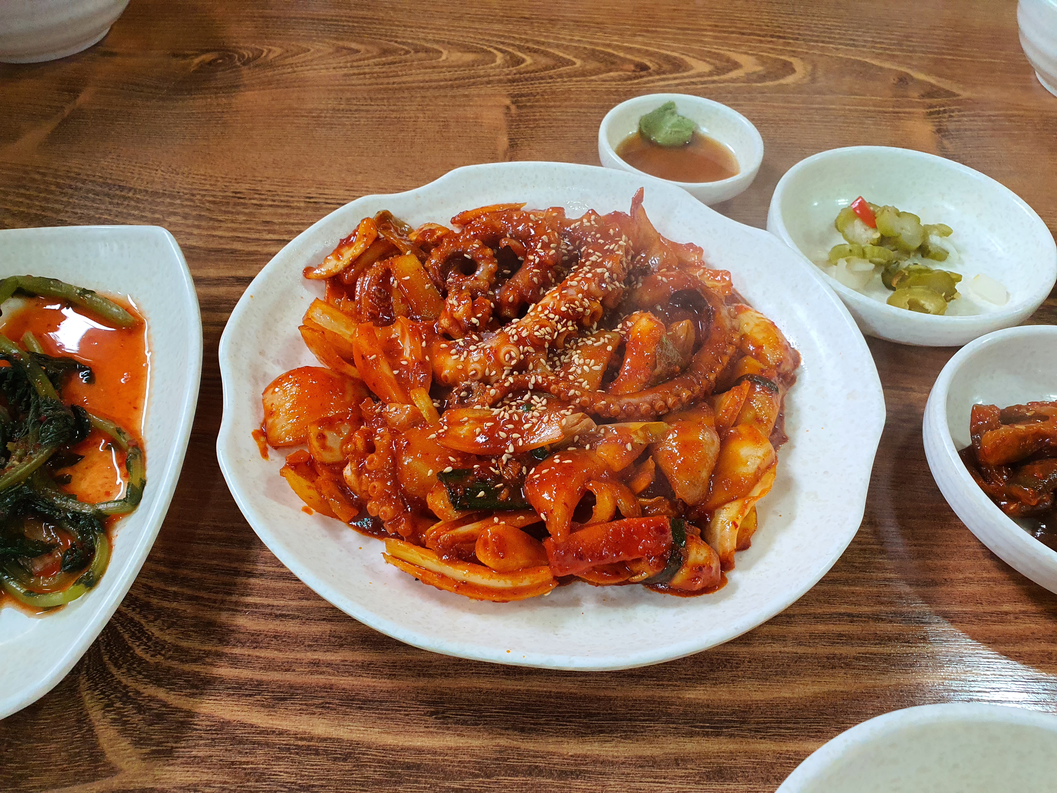 낙지세상