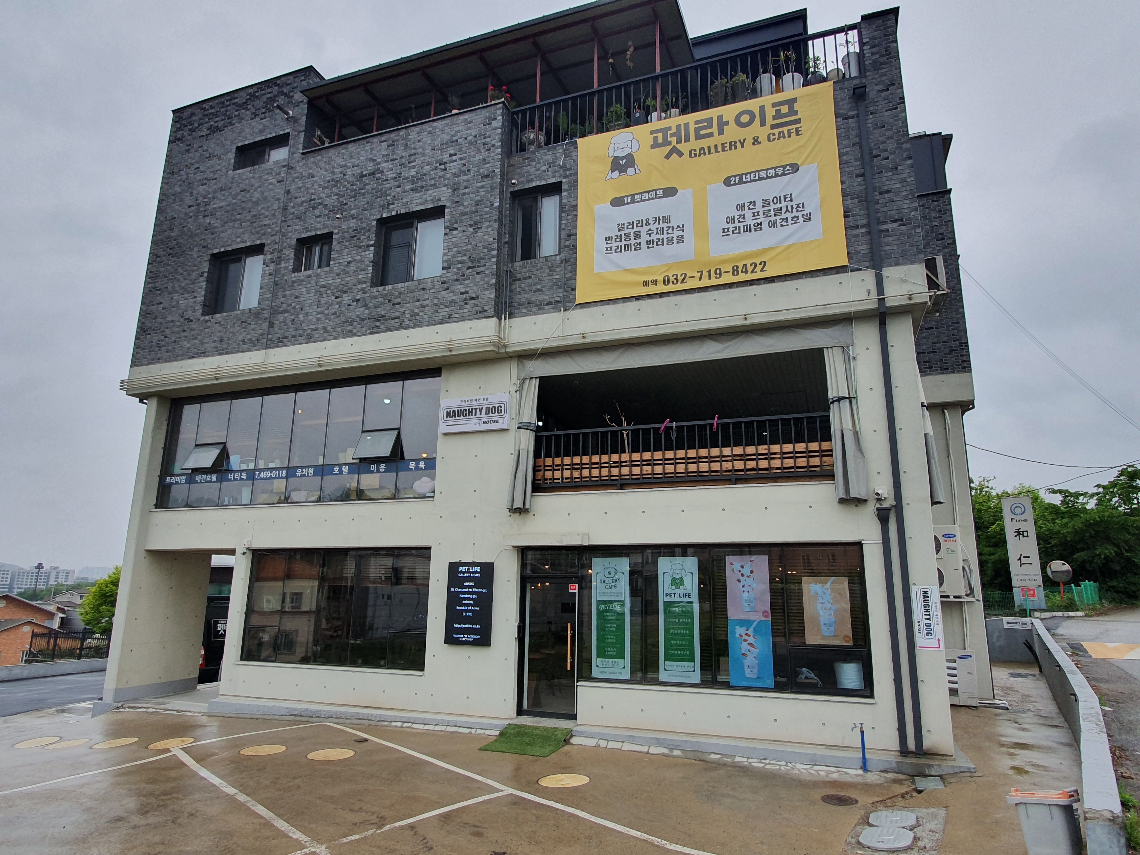 펫라이프