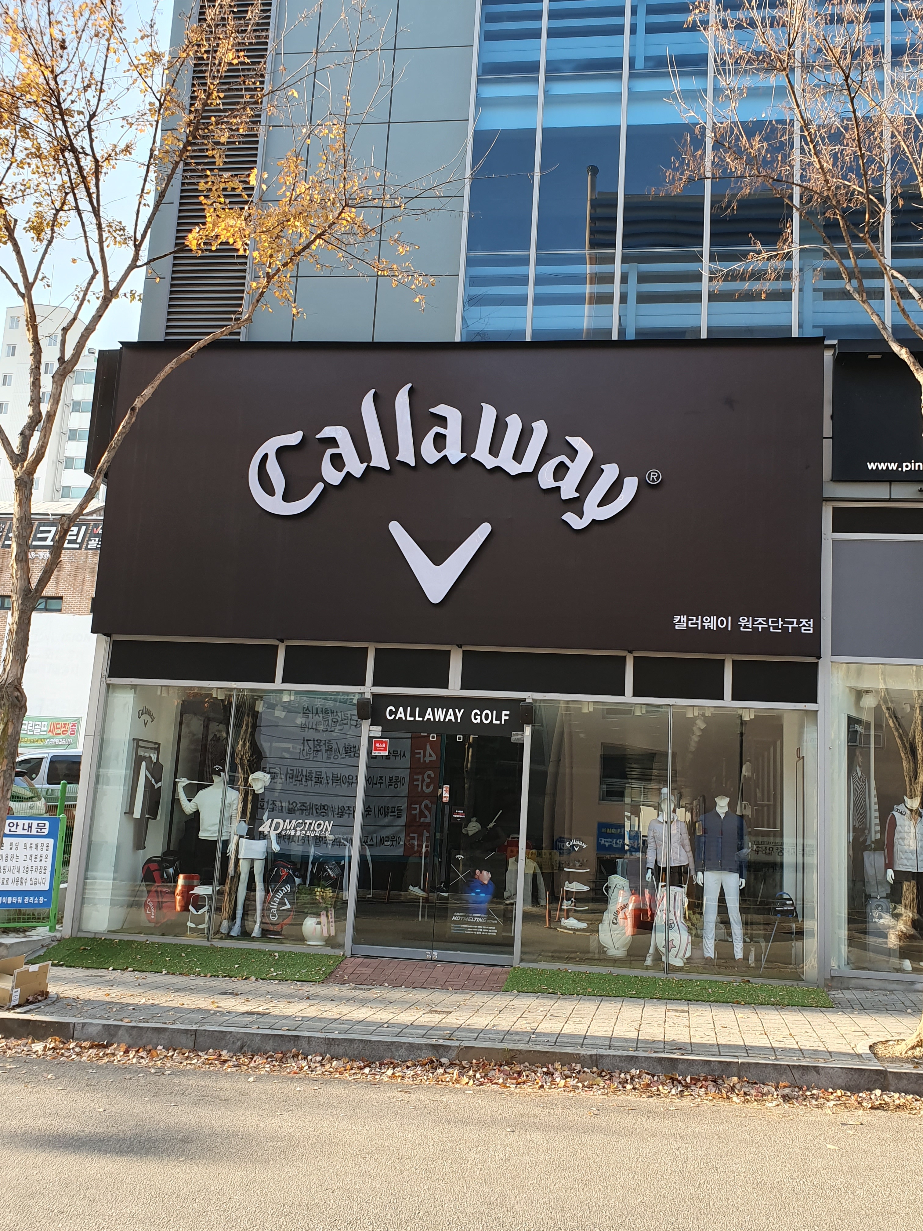 캘러웨이 원주단구점