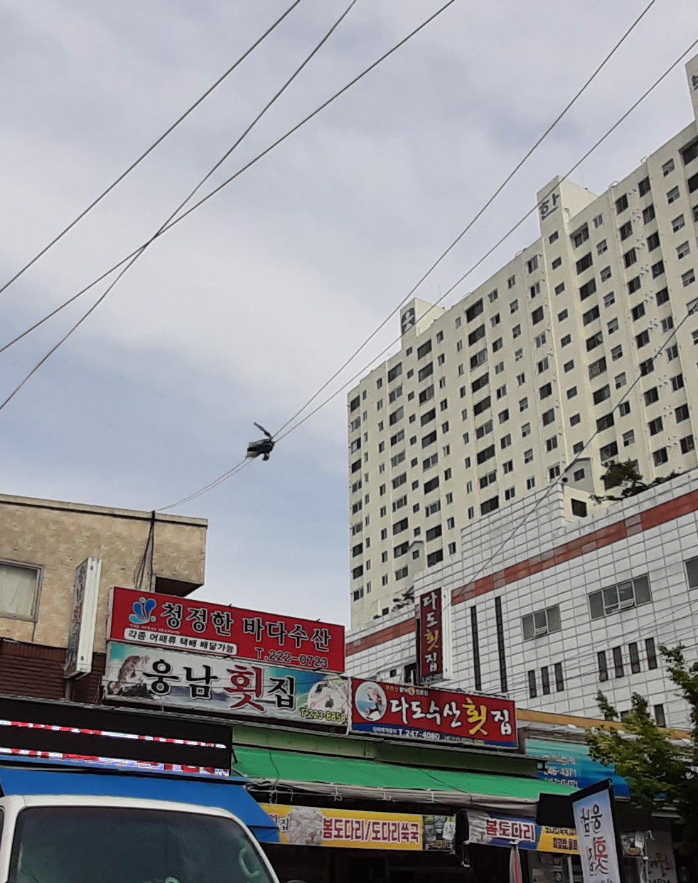 웅남횟집