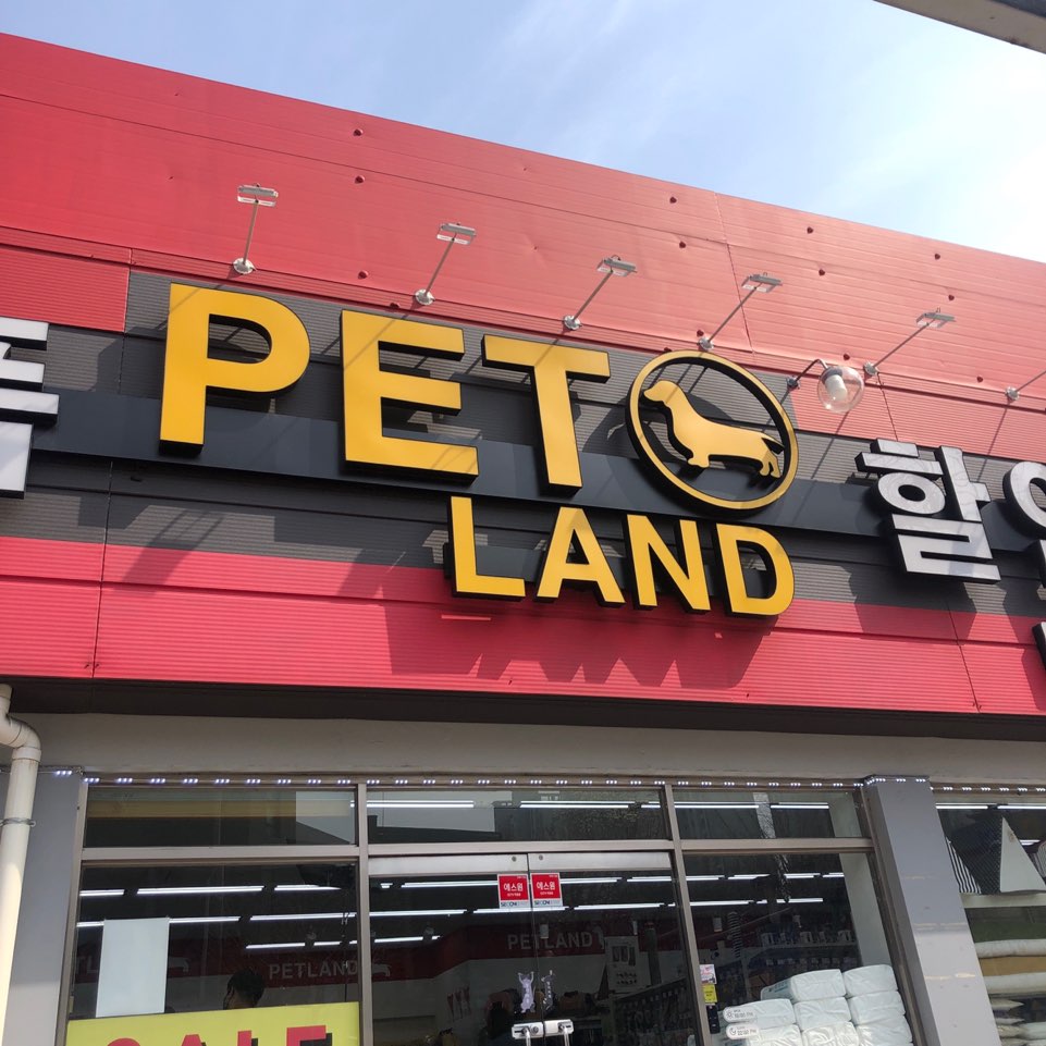 경기 부천시 애견용품 전문업체 추천 TOP5 강아지용품 애완용품 애견용품점 반려동물용품점 강아지스카프 애견용품샵 강아지목줄 펫랜드