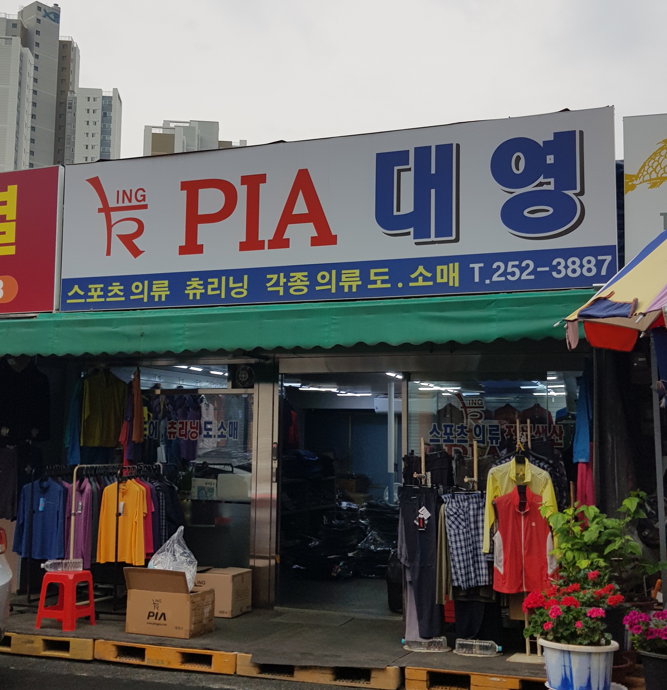 PIA대영