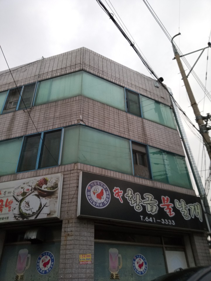 황금불날개