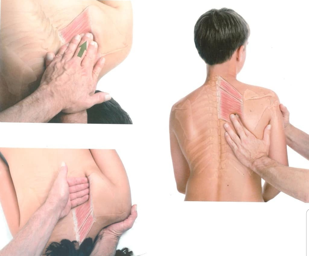 라인뷰티케어