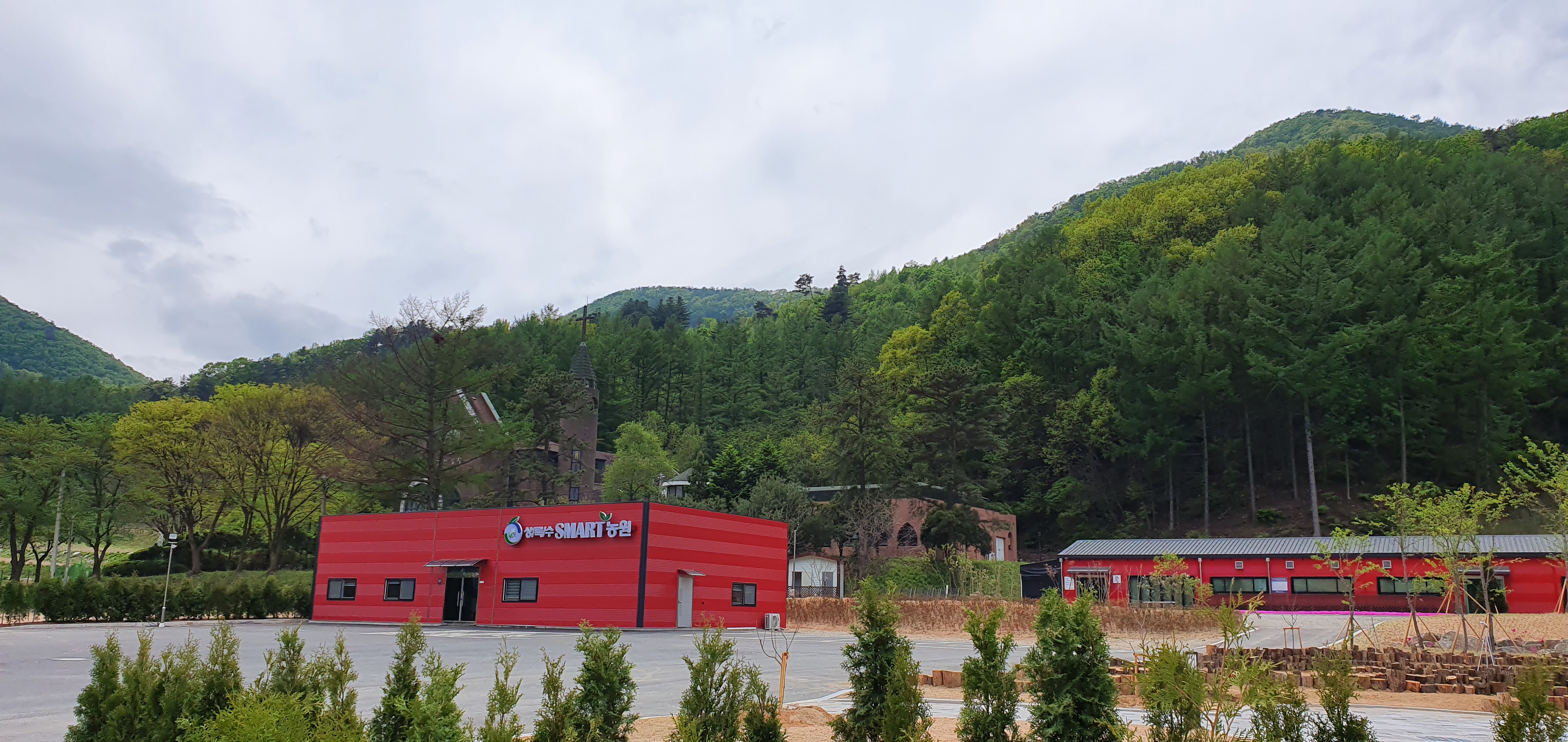 농업회사법인 주식회사 상록수