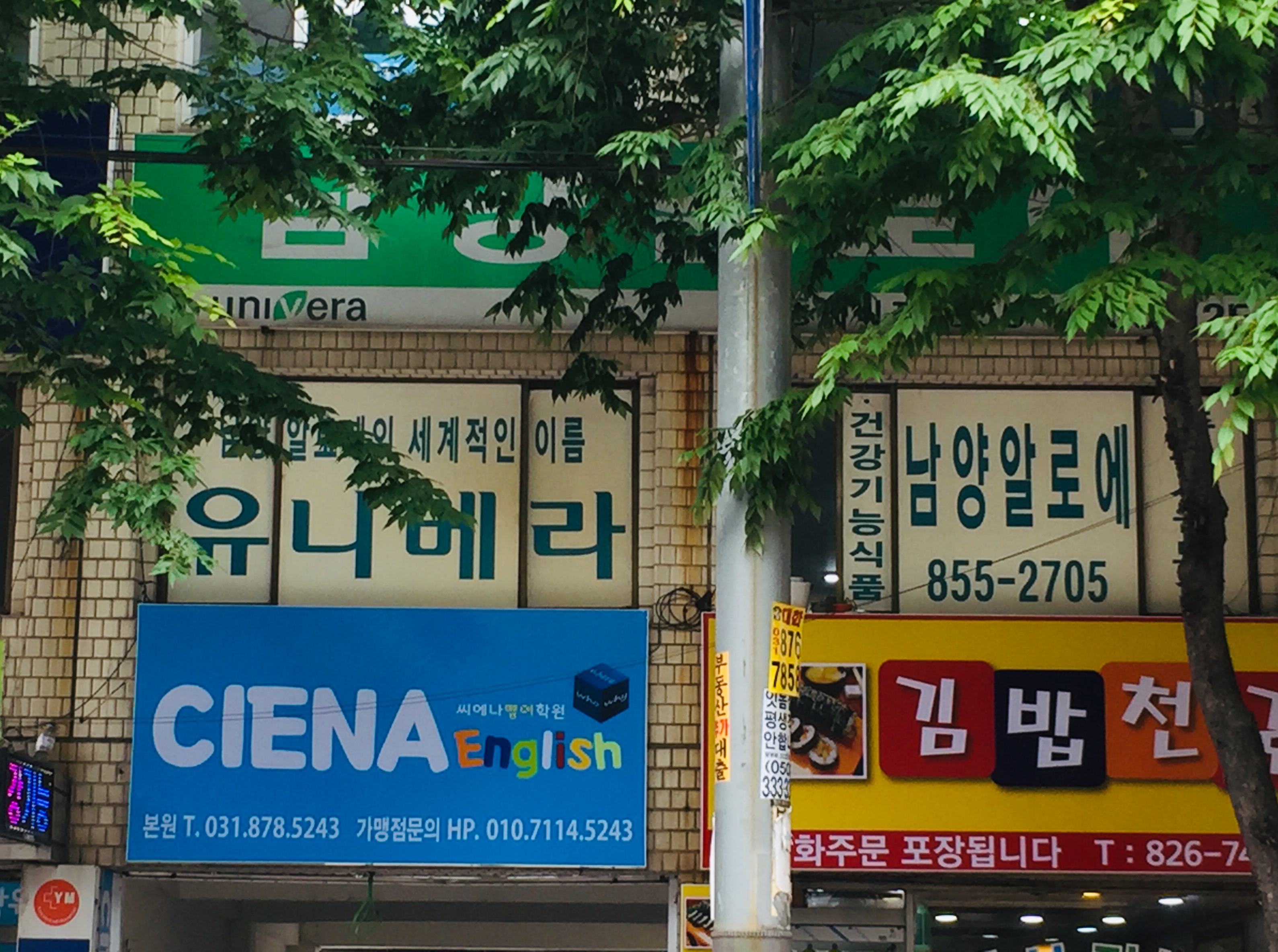 유니베라남양알로에(가능점)