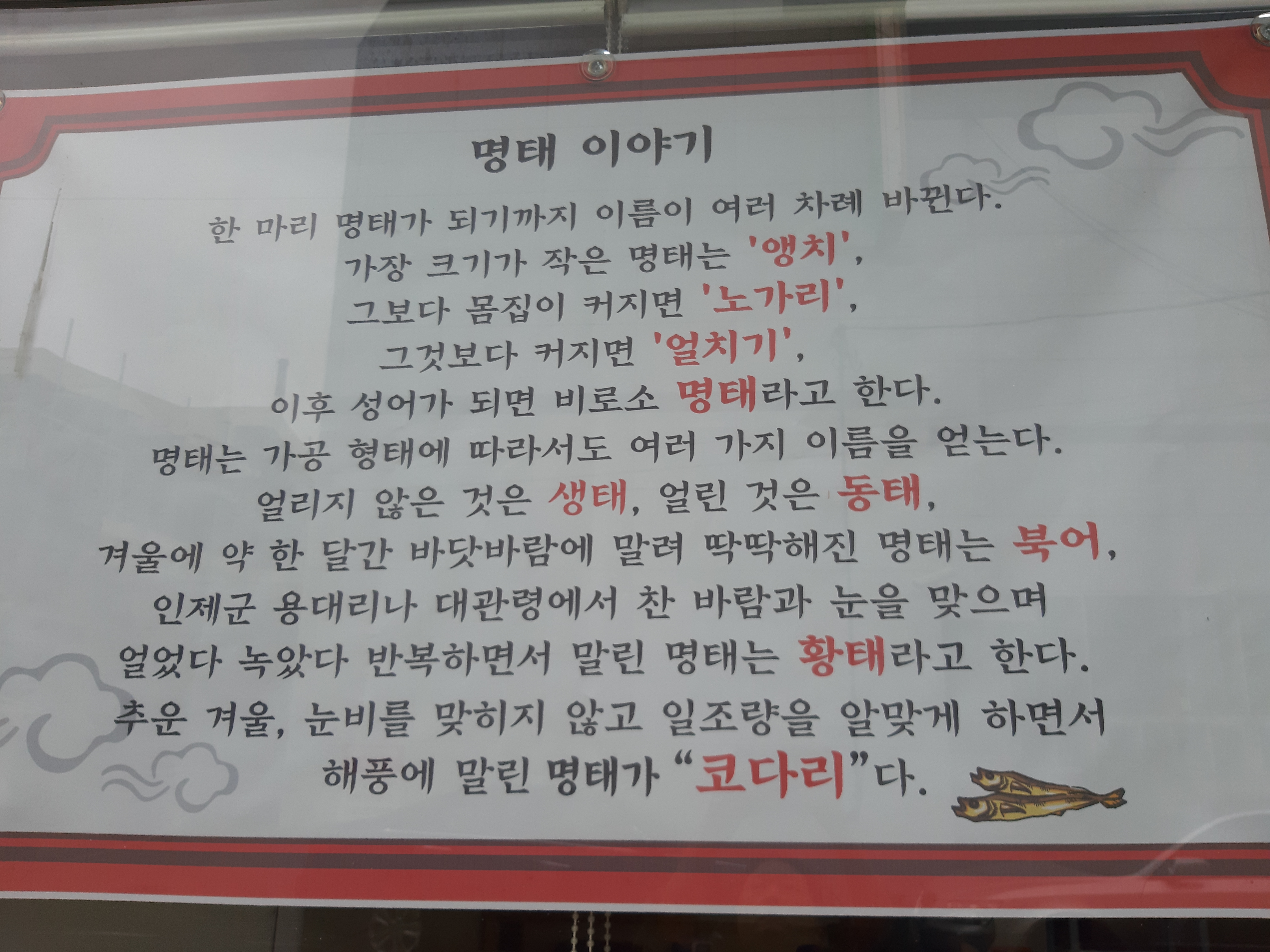 최고네 코다리 합성점