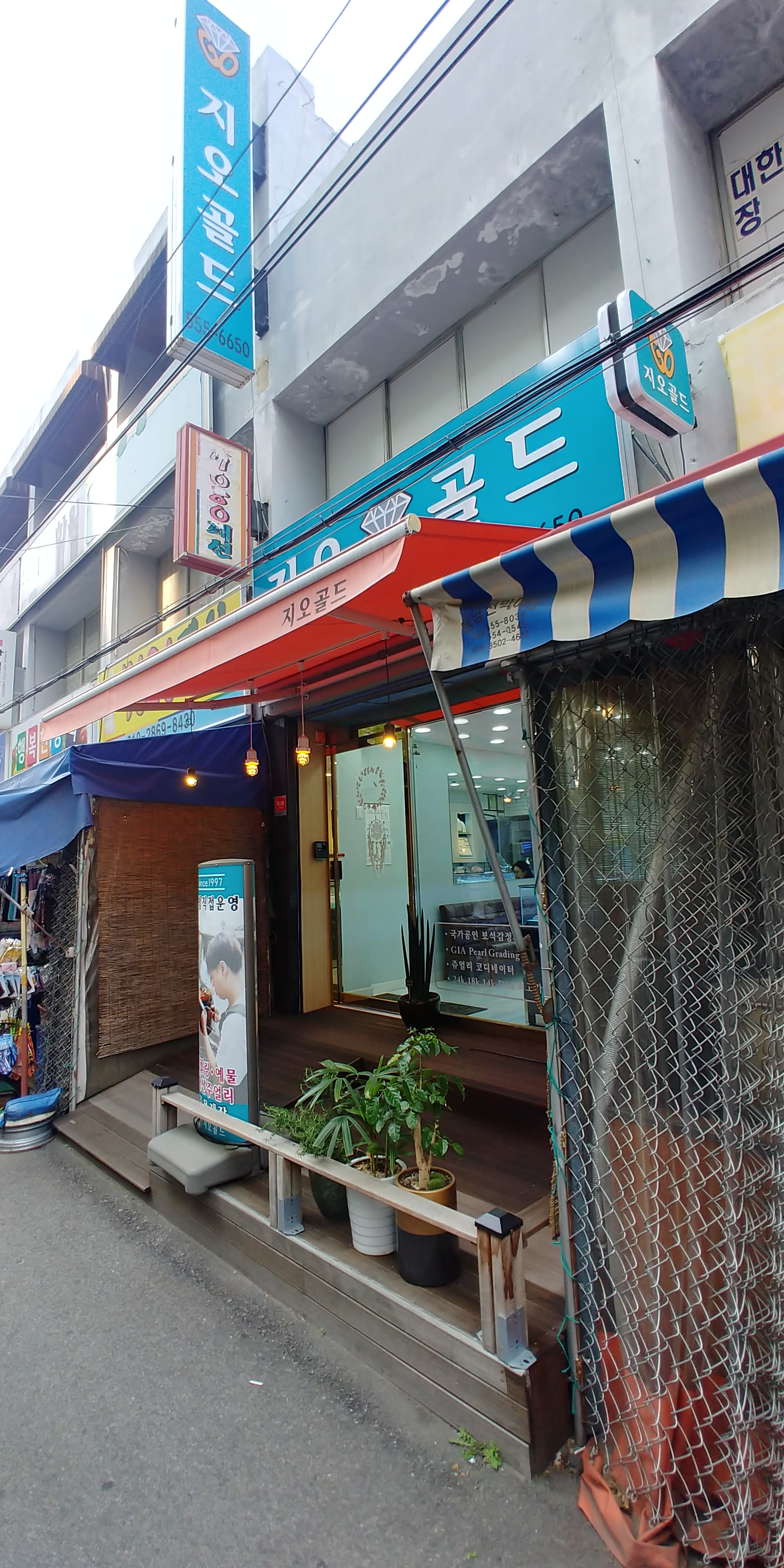 지오골드