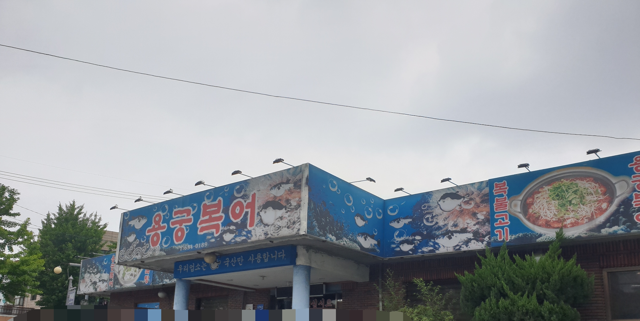 용궁복어