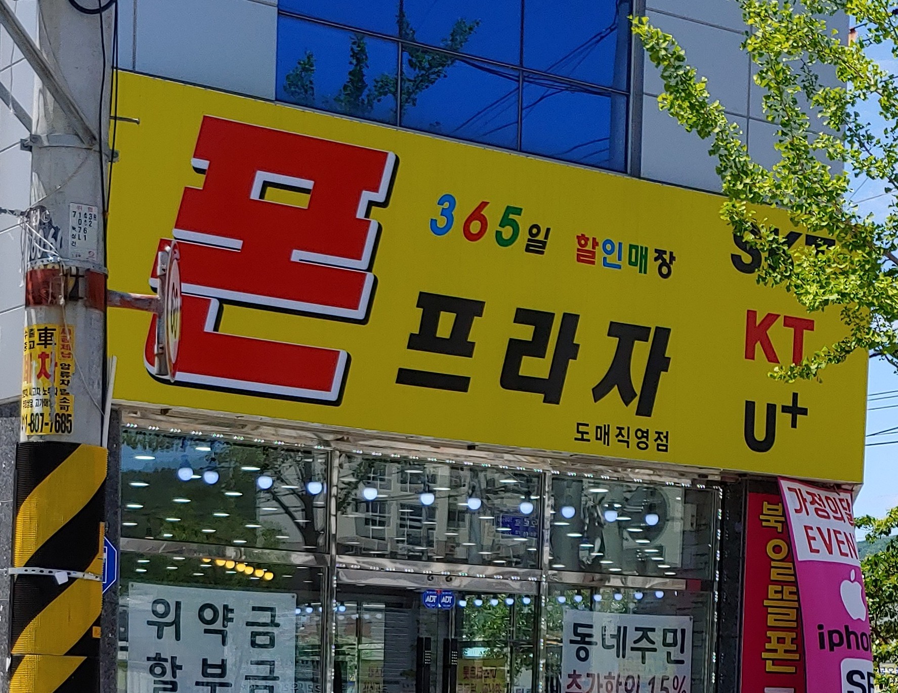 폰프라자 도매직영점