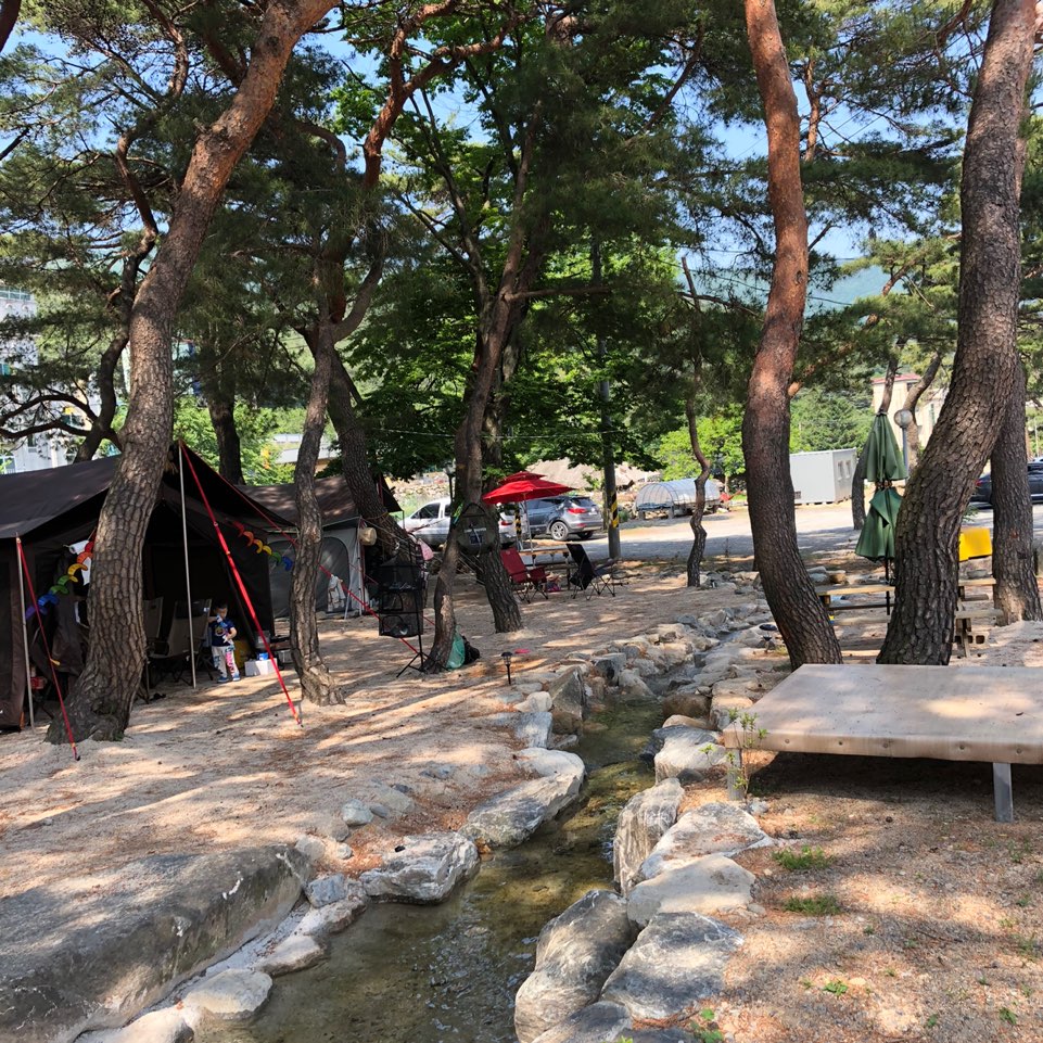 힐링캠프