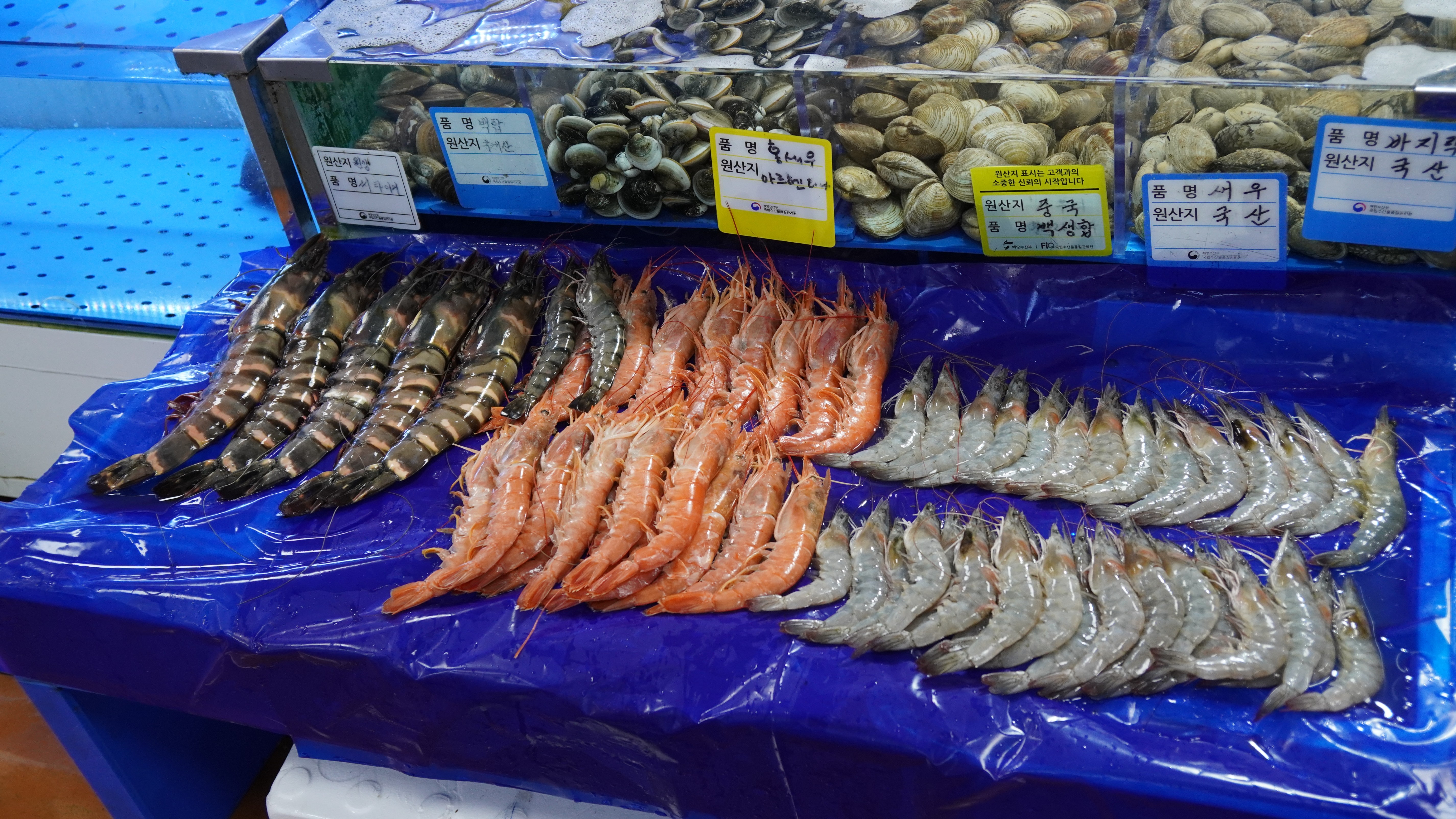 순이수산