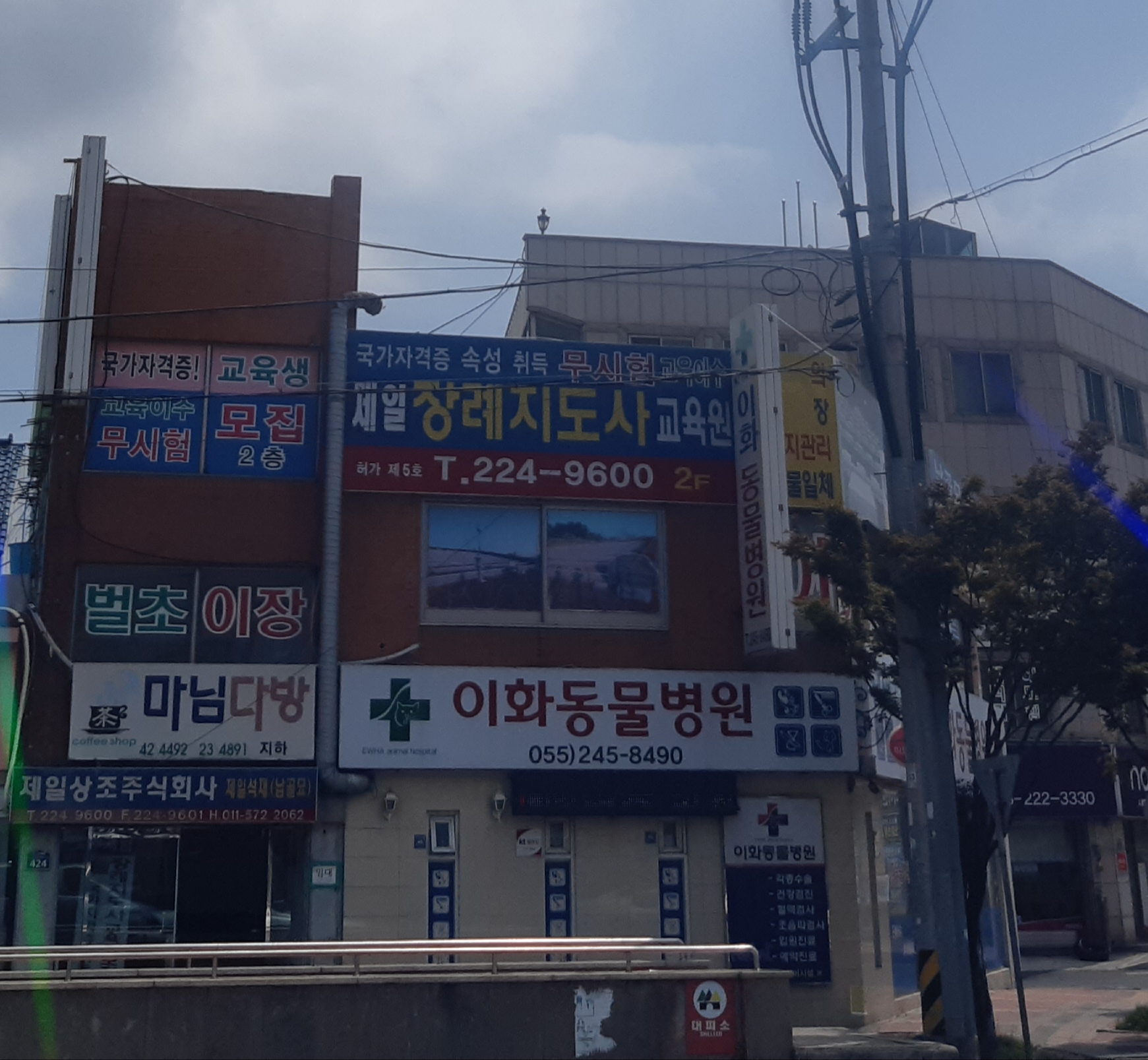 이화동물병원 대표 이미지