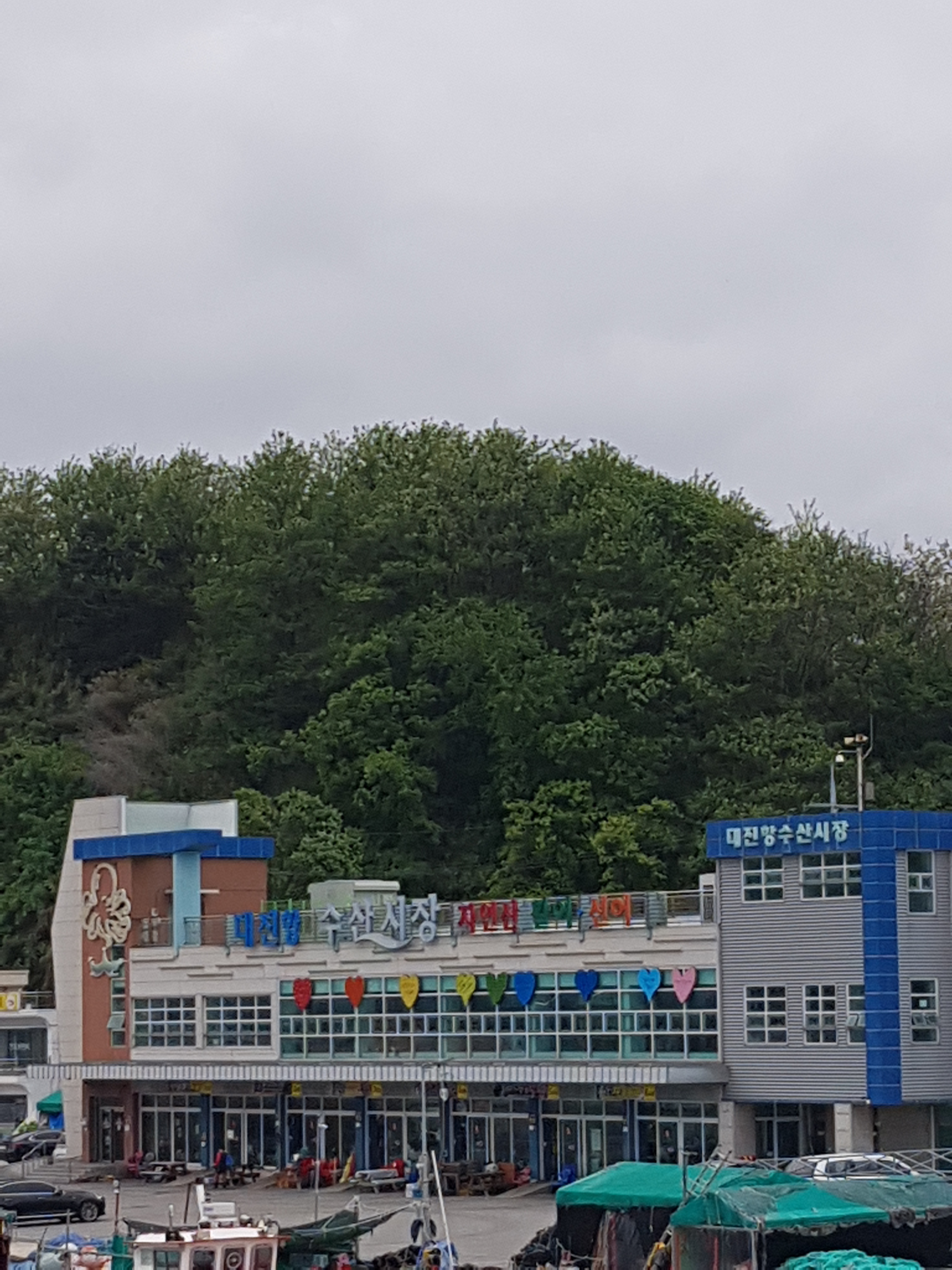 대진항수산시장