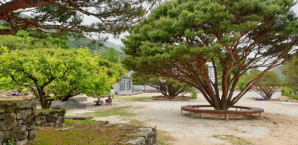 산청요 반려동물 동반 애견카페