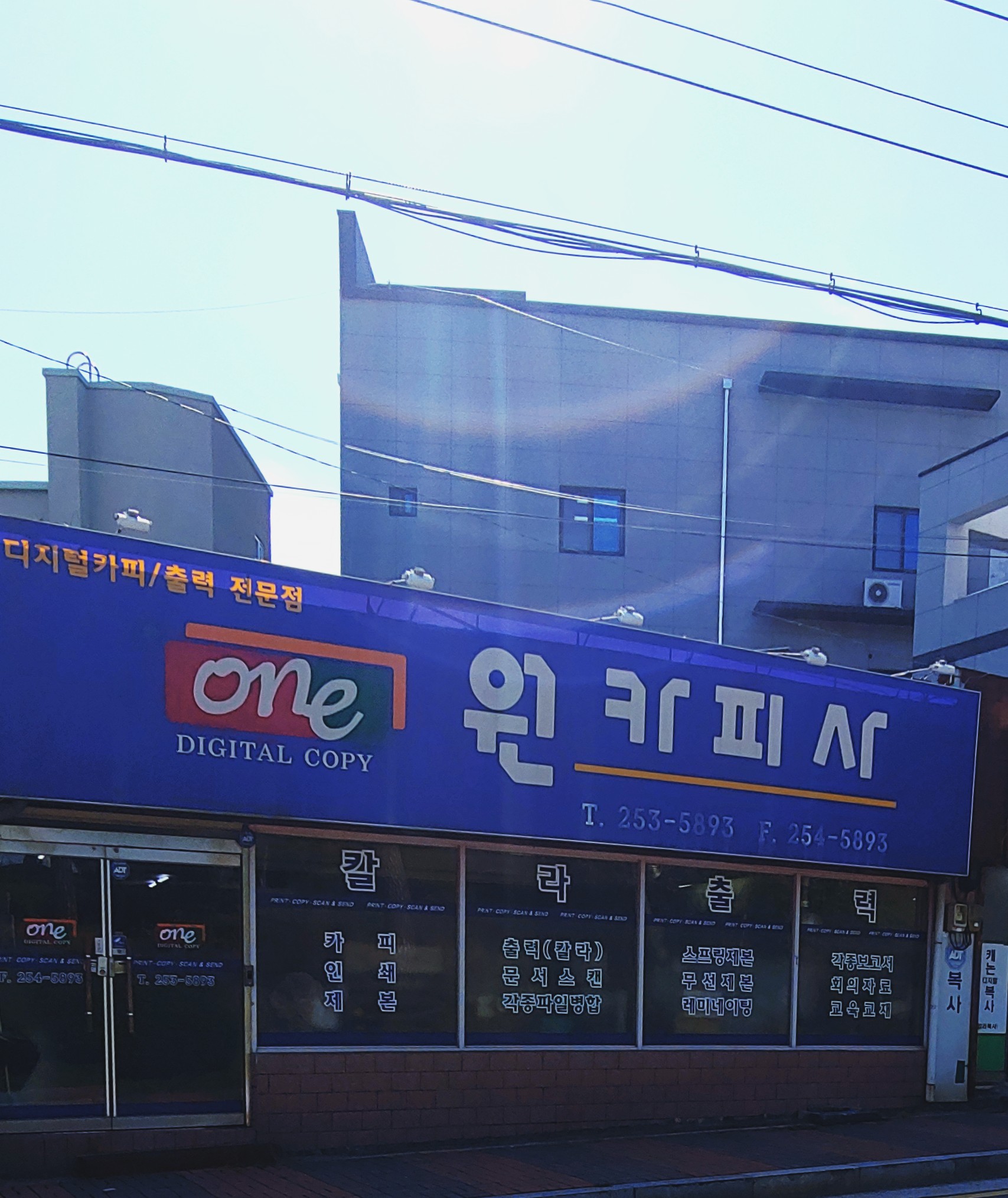 원카피사