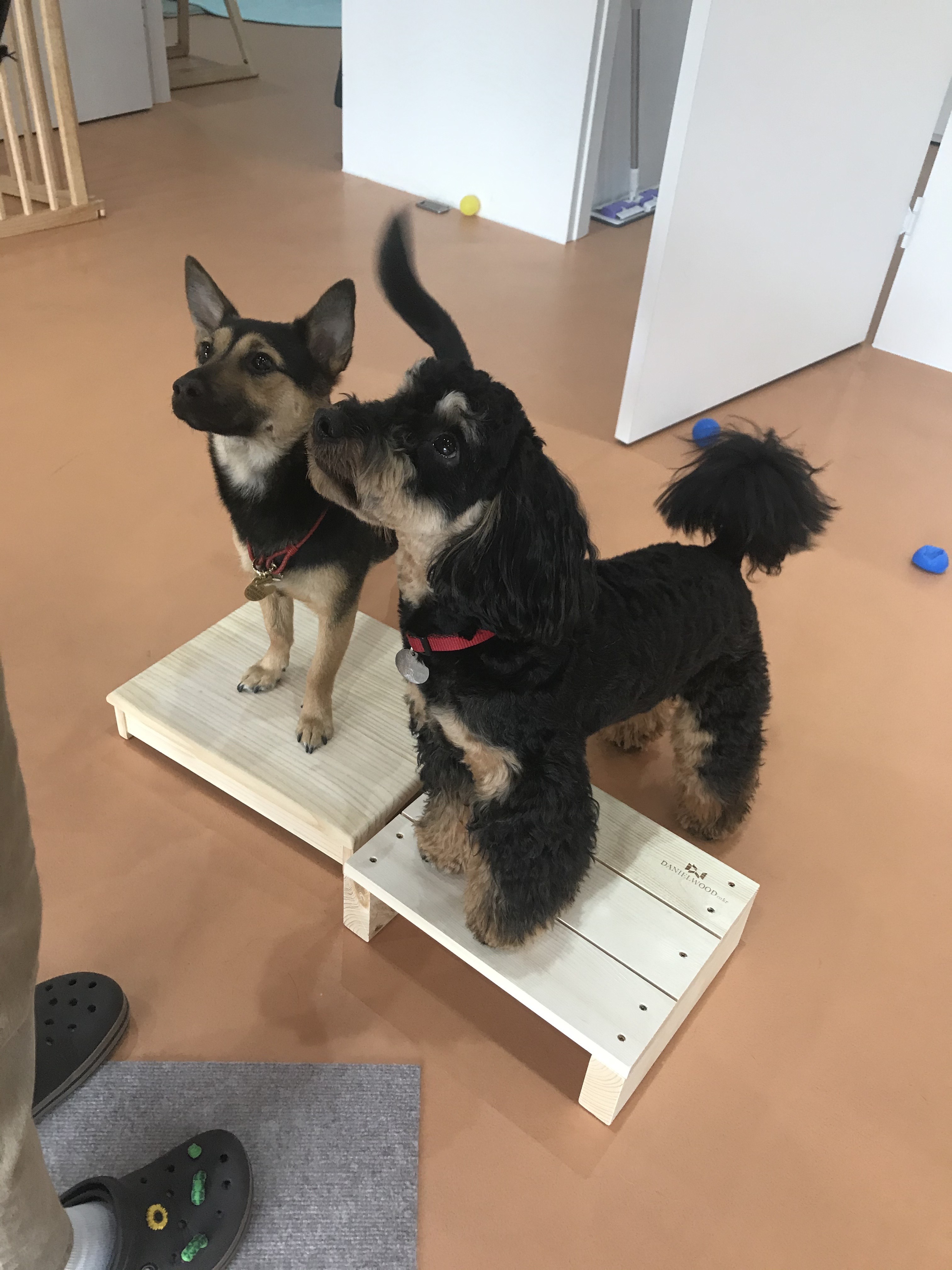 도기캠프 대표 이미지