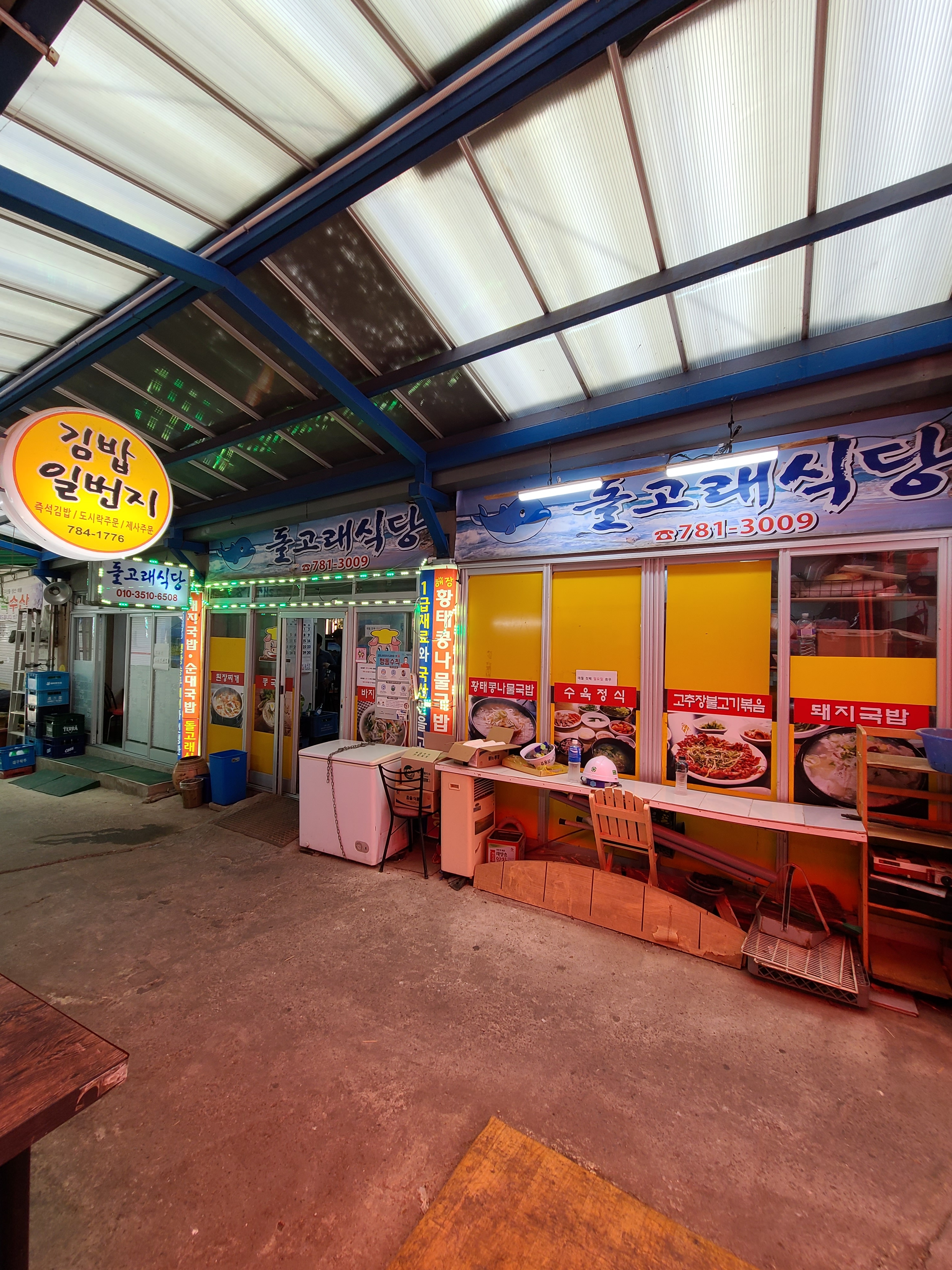 돌고래식당