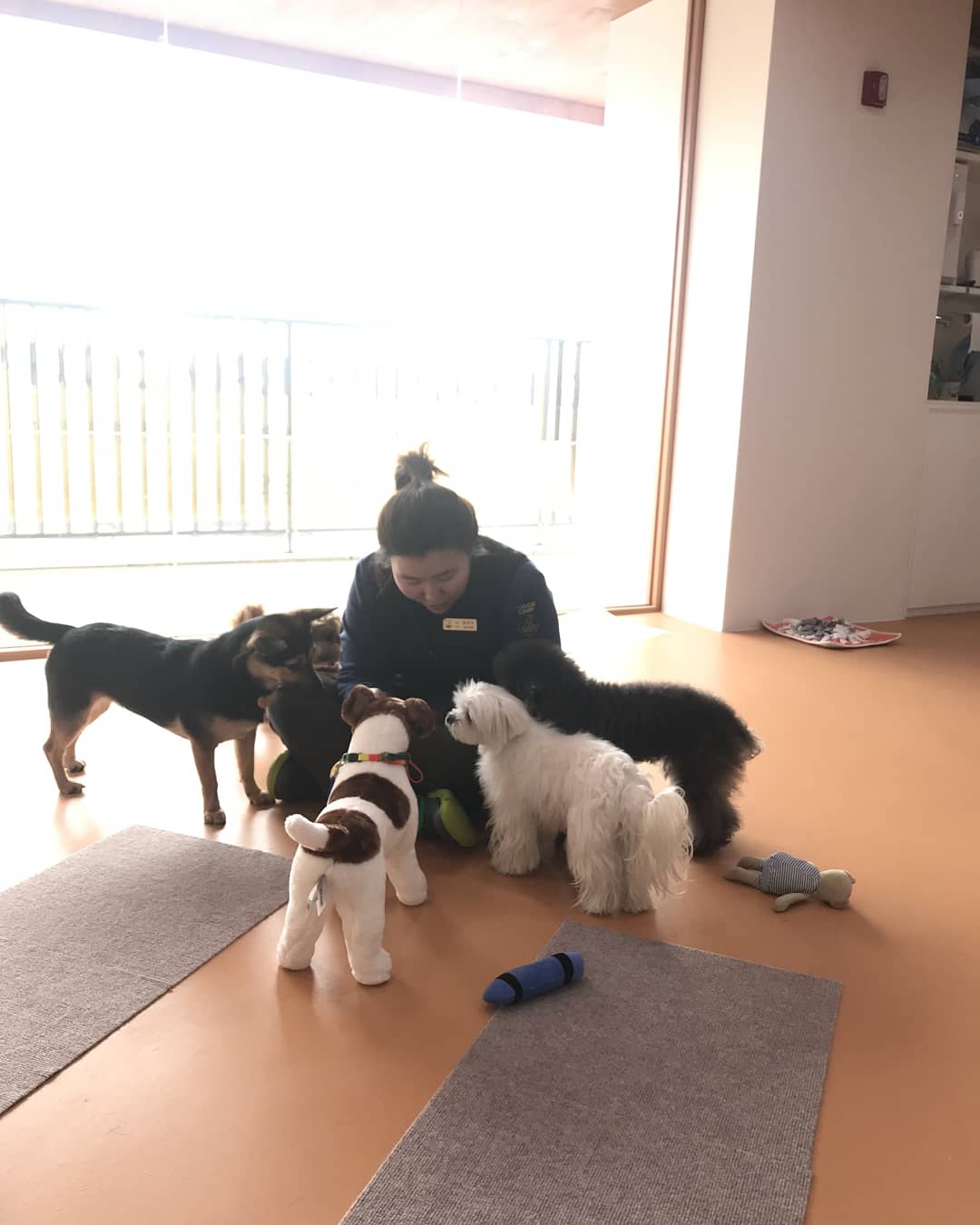 도기캠프 대표 이미지