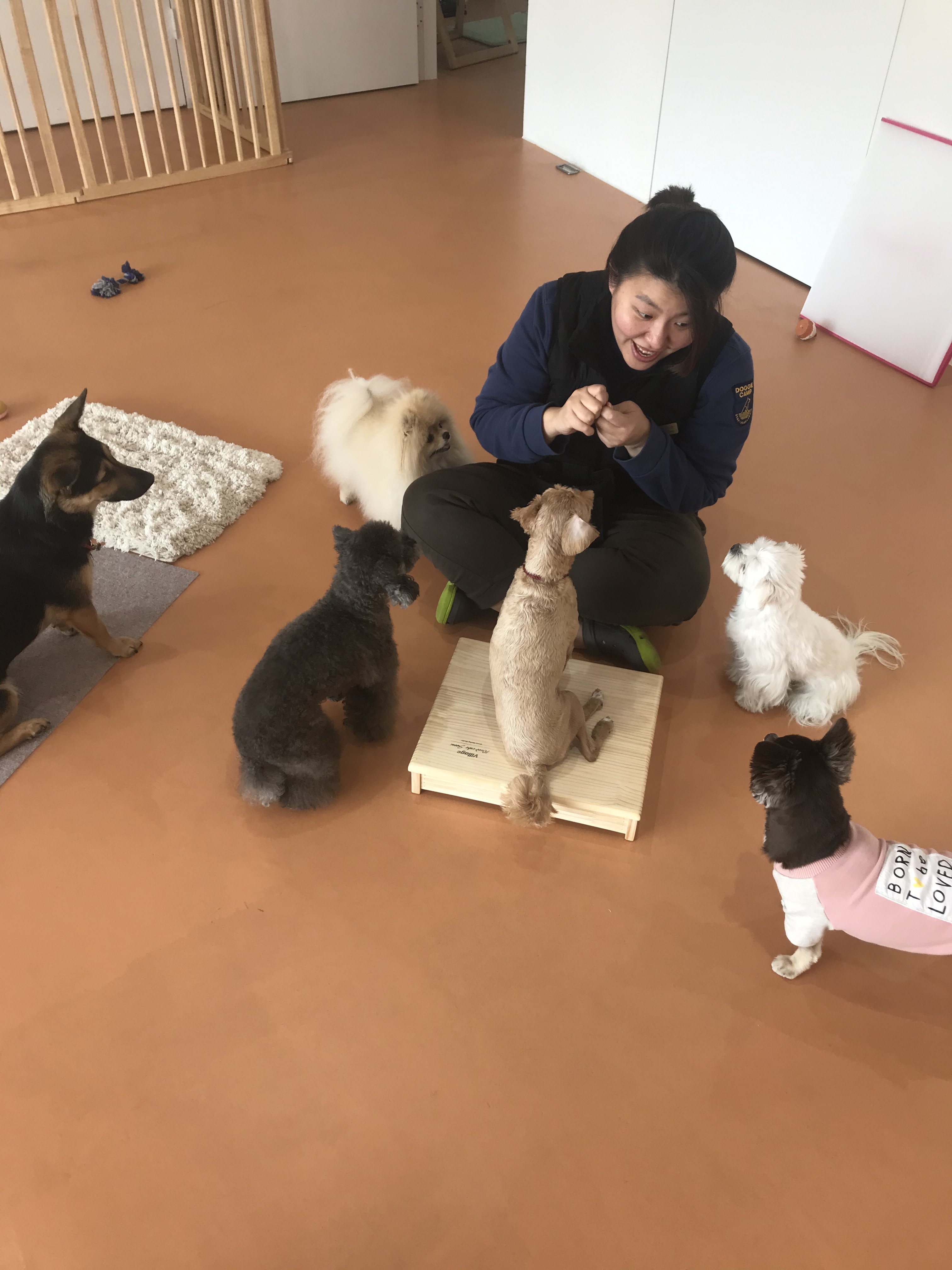 도기캠프 대표 이미지