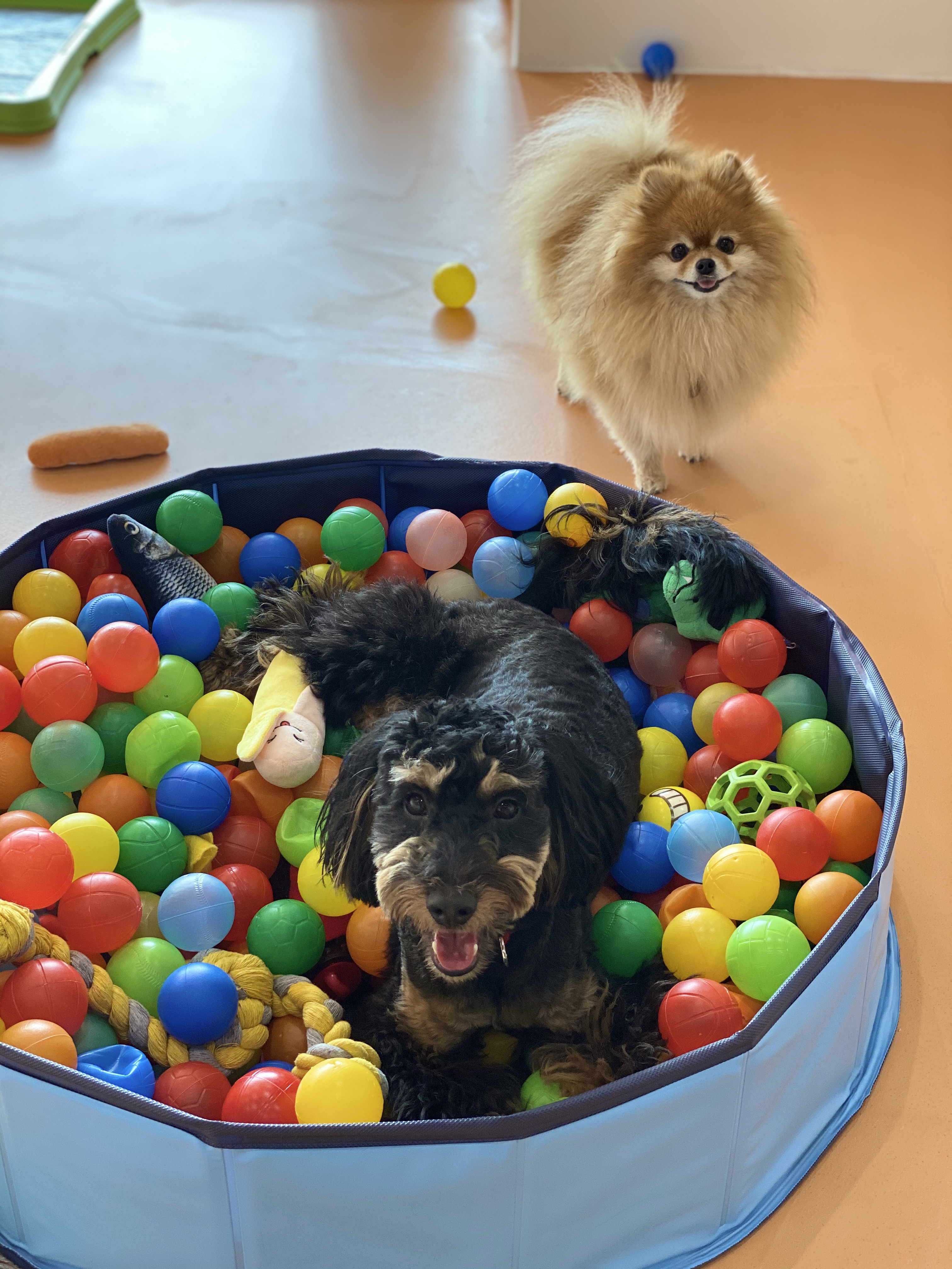 도기캠프 대표 이미지