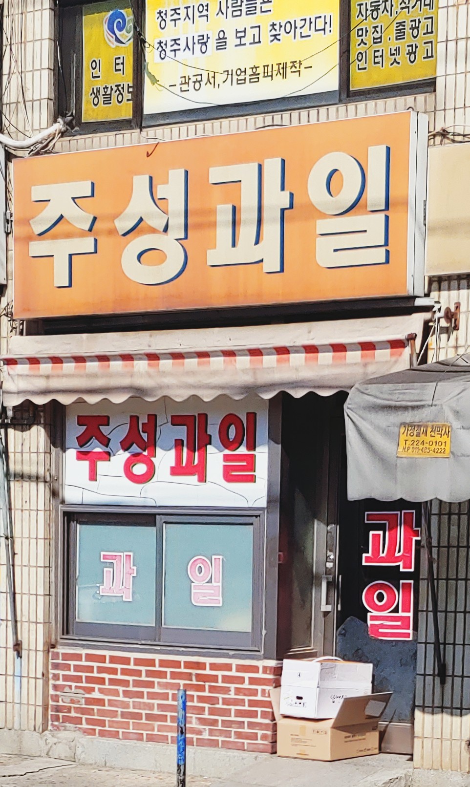 주성과일