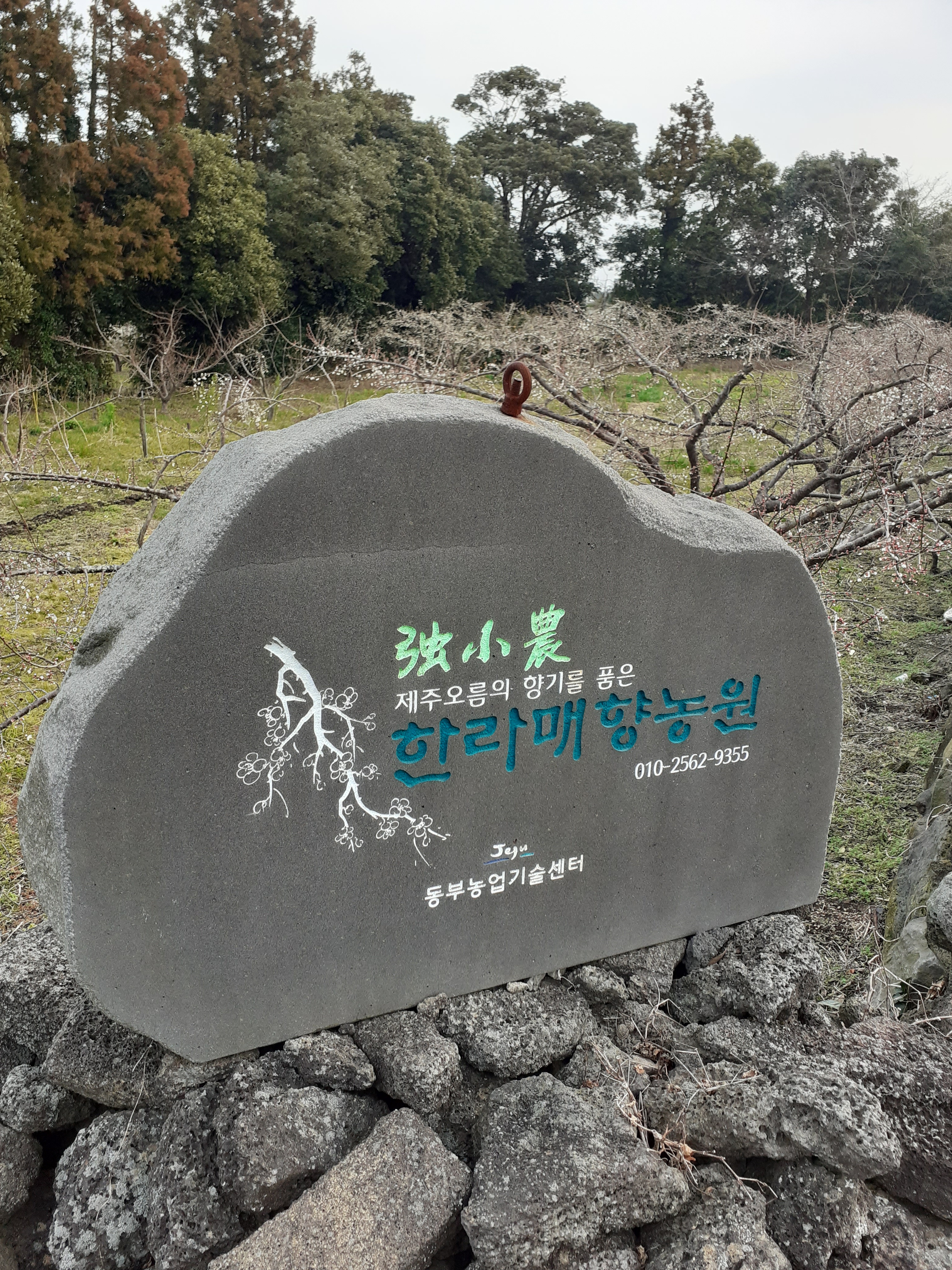 한라매향농원