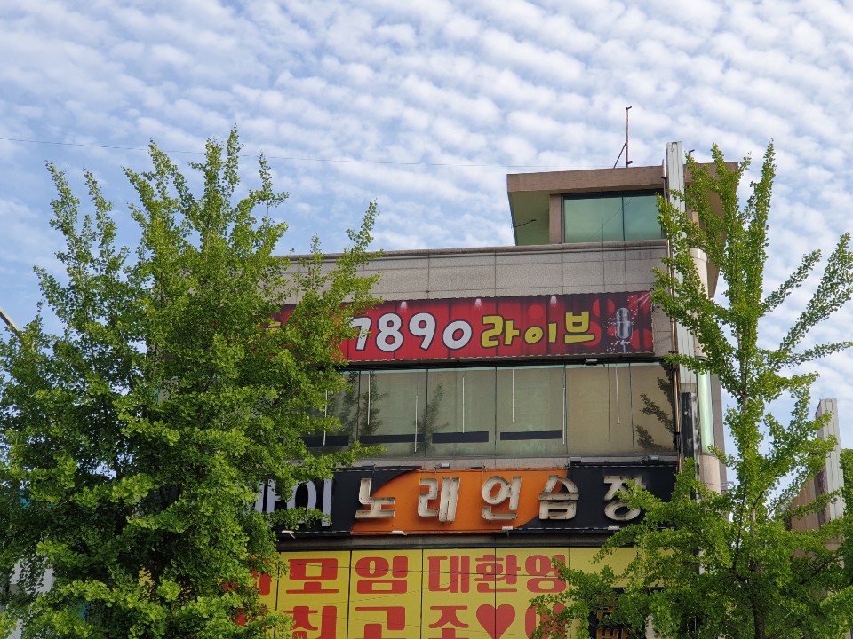 찬찬찬7890라이브