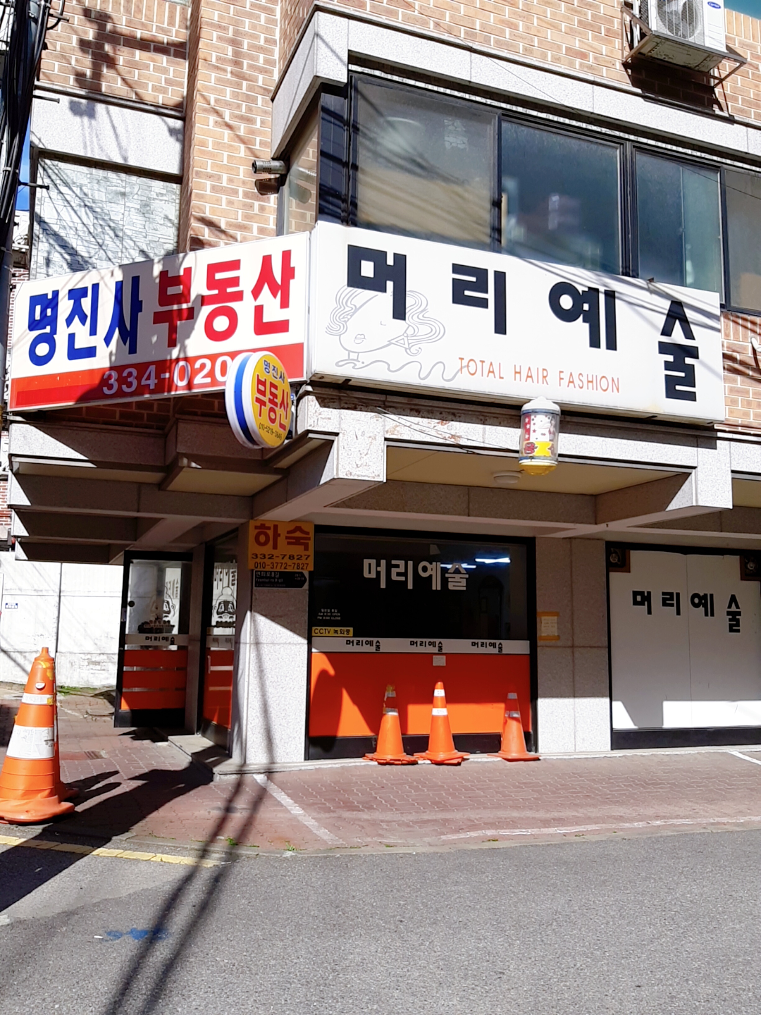 머리예술