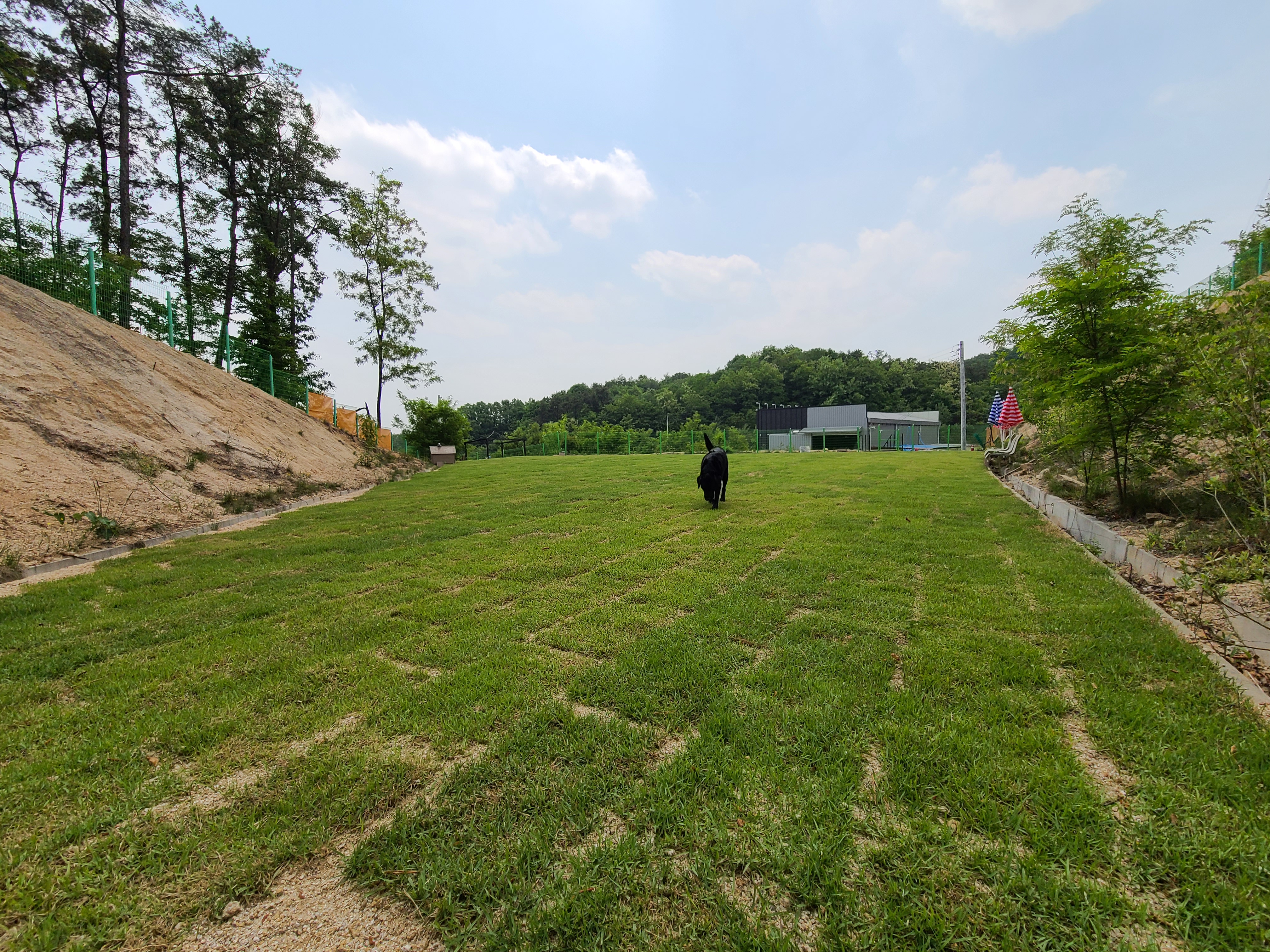 개두방정 대표 이미지