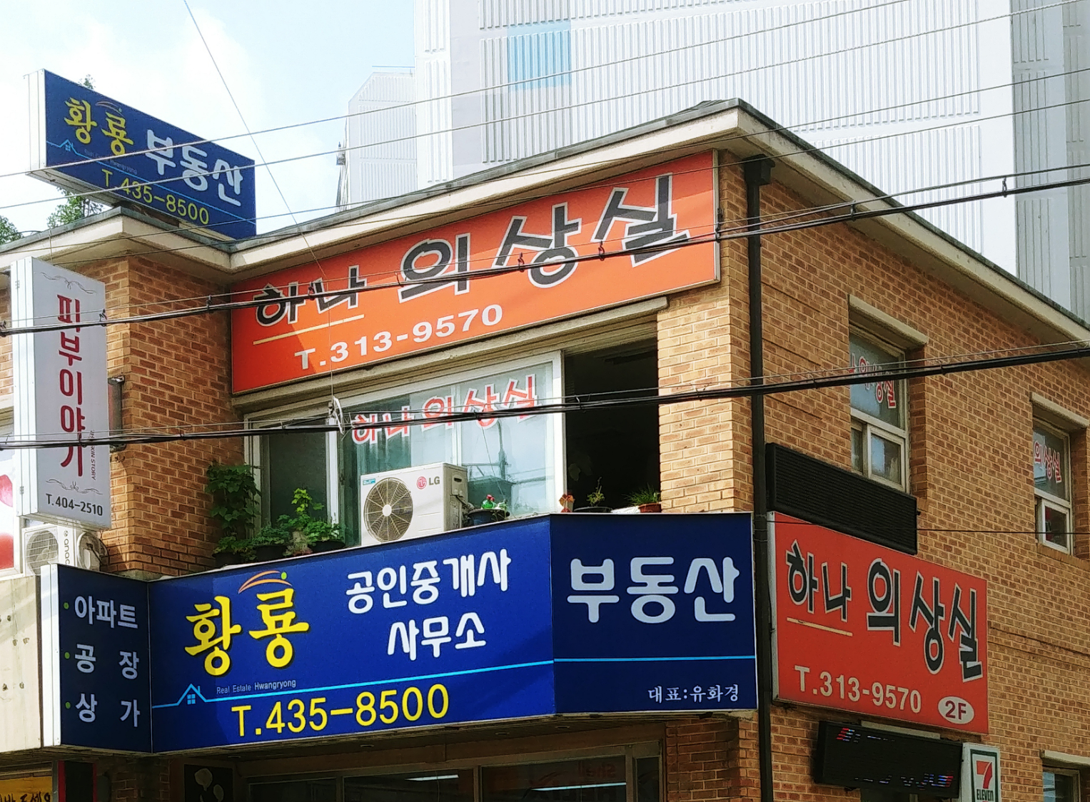 하나의상실