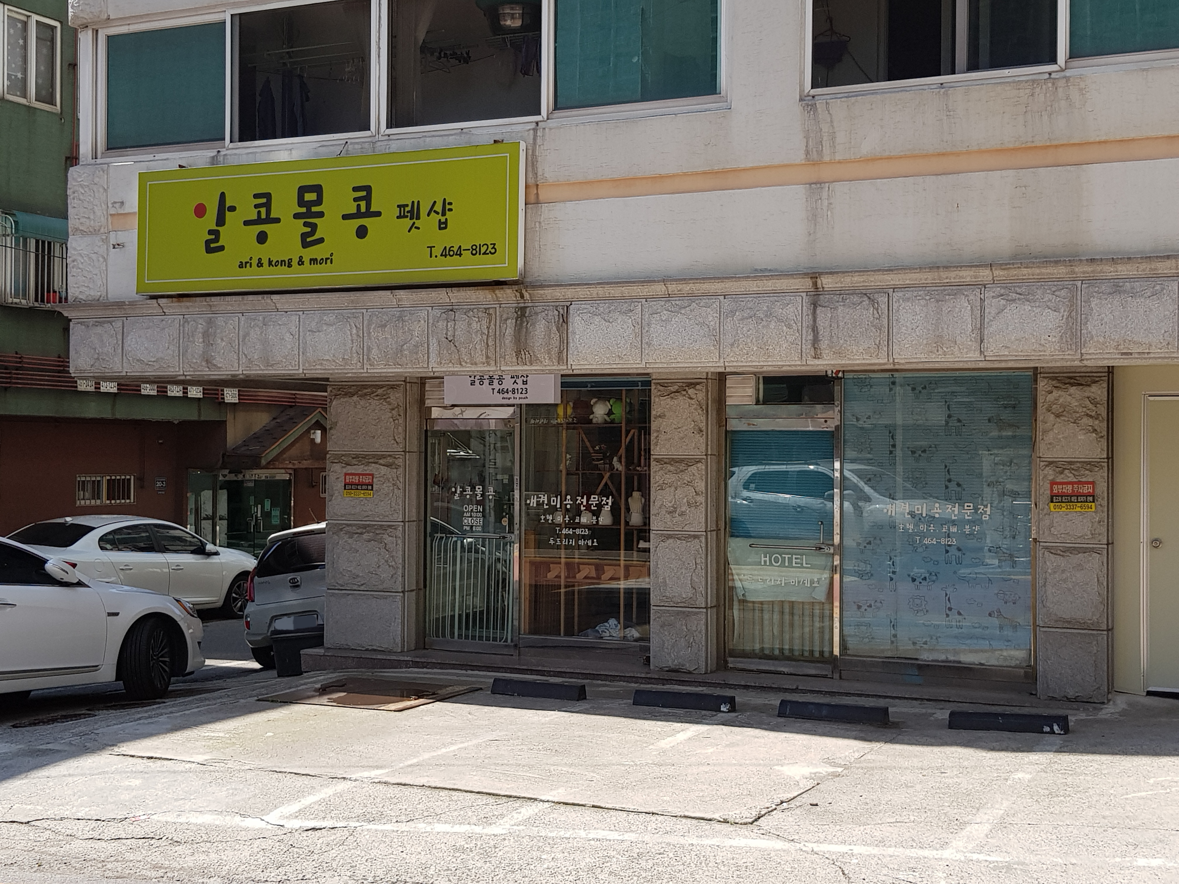 알콩몰콩펫샵 대표 이미지