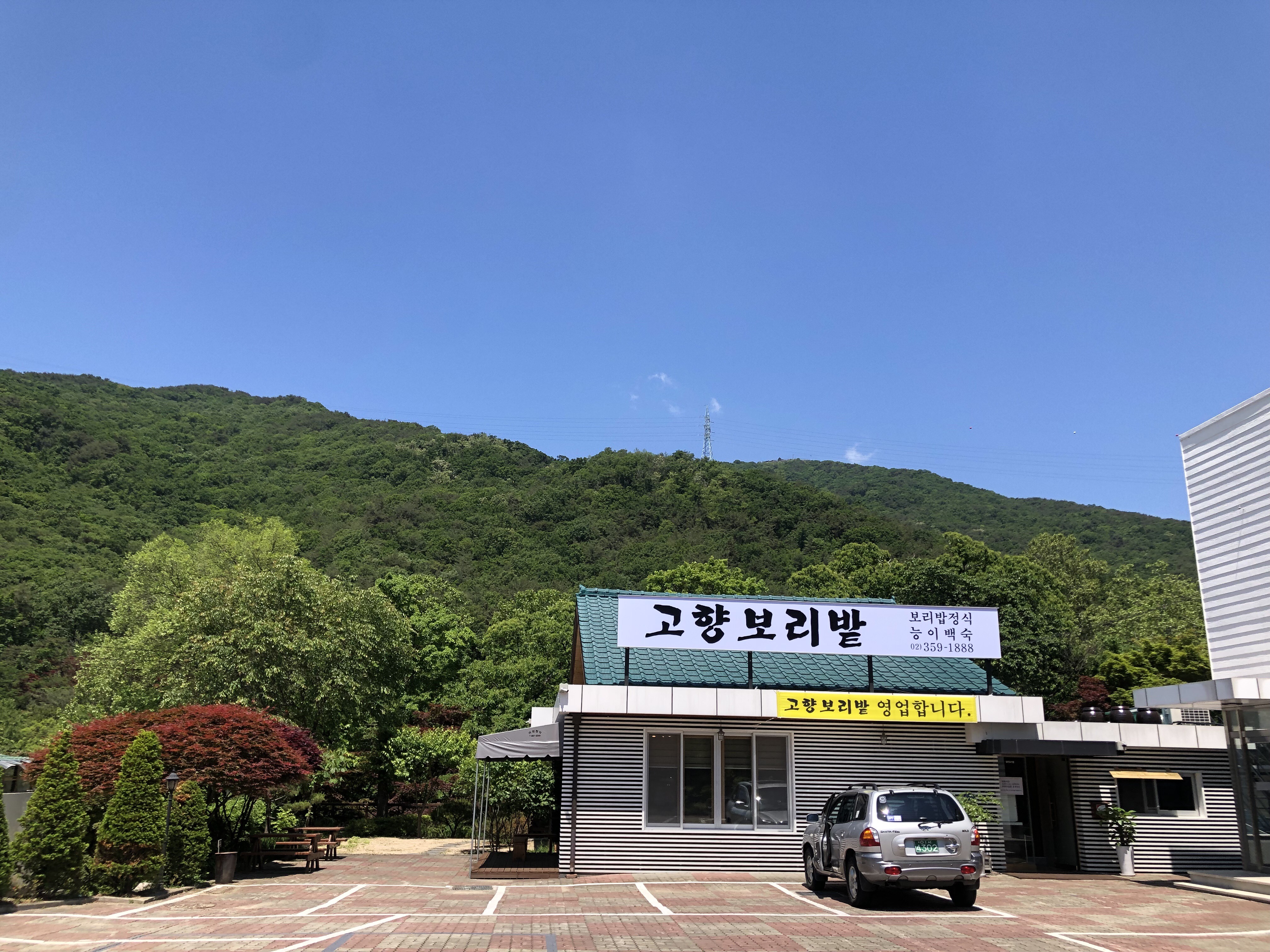 고향보리밭