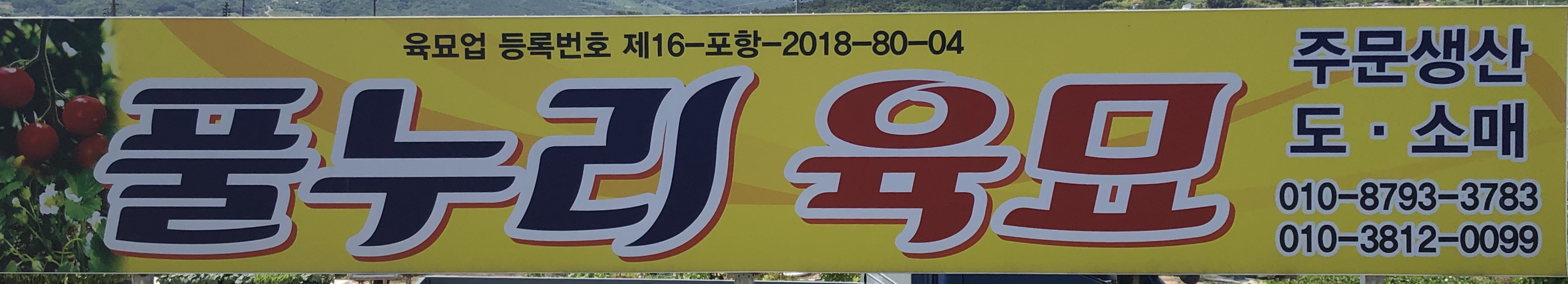 풀누리육묘