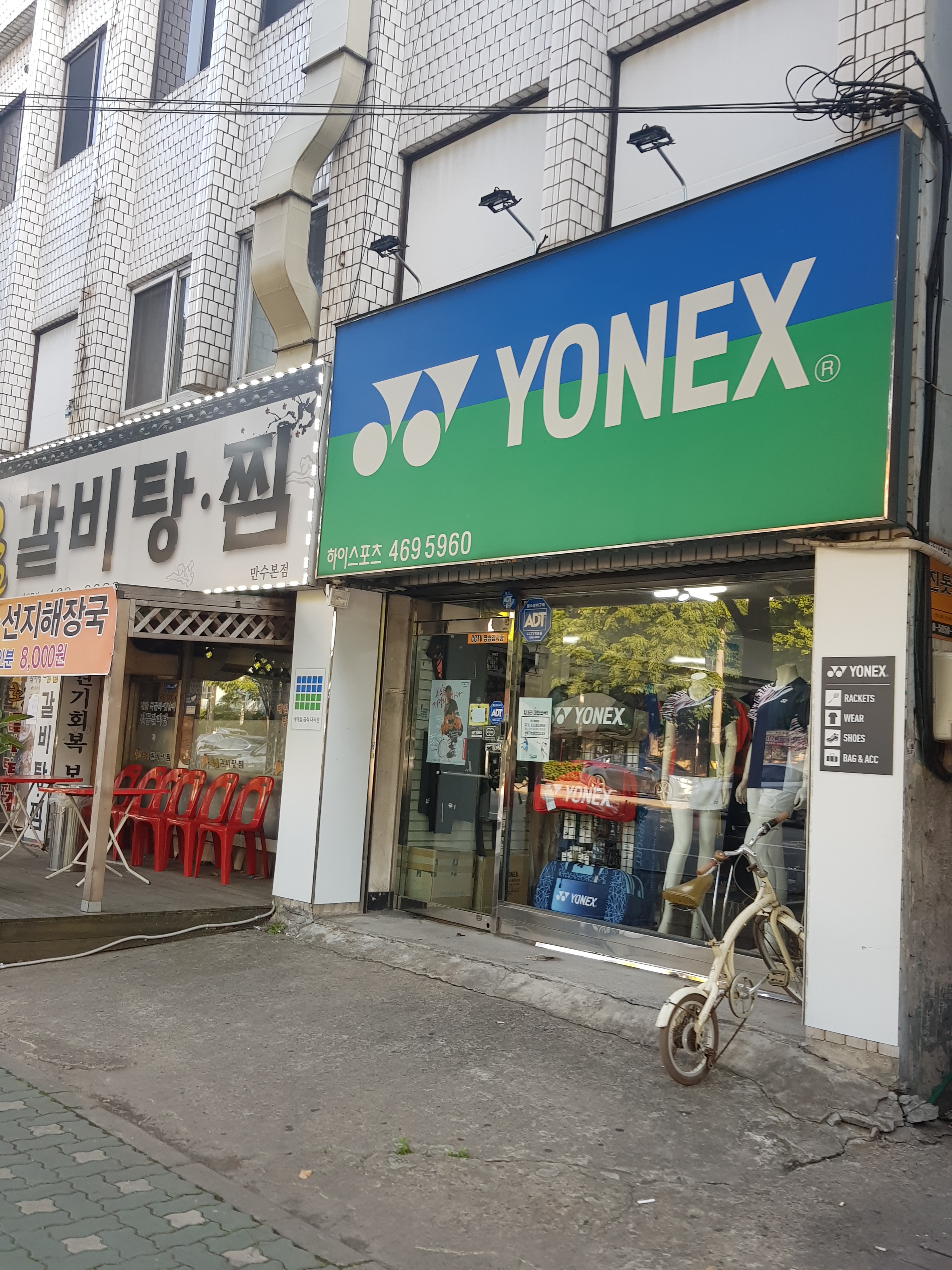 요넥스 하이스포츠