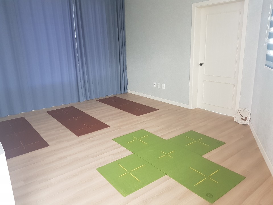 슬기로운요가생활 대표 이미지