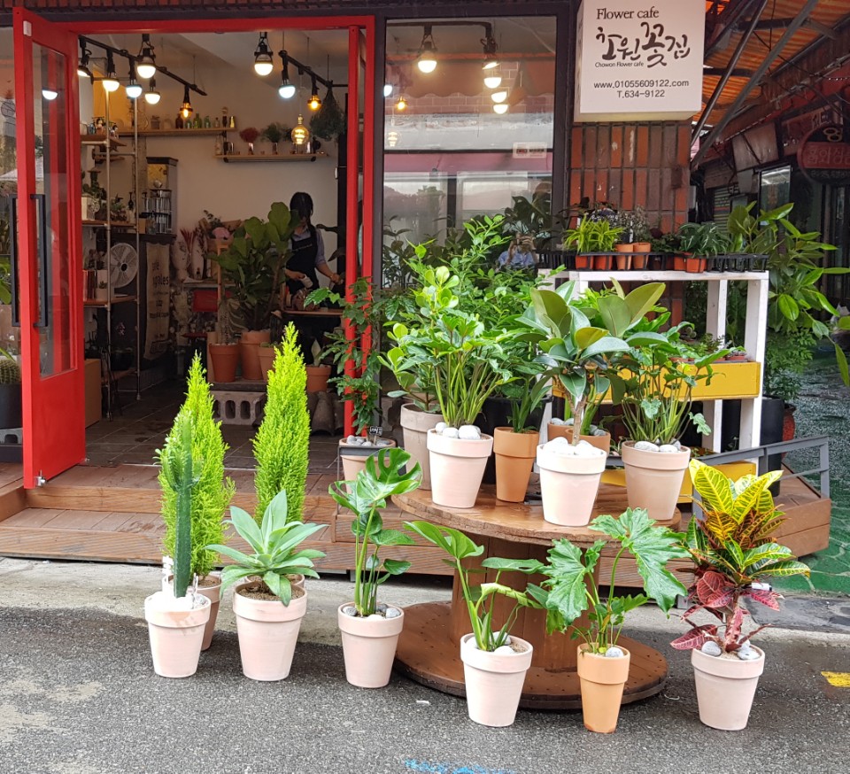 초원꽃집