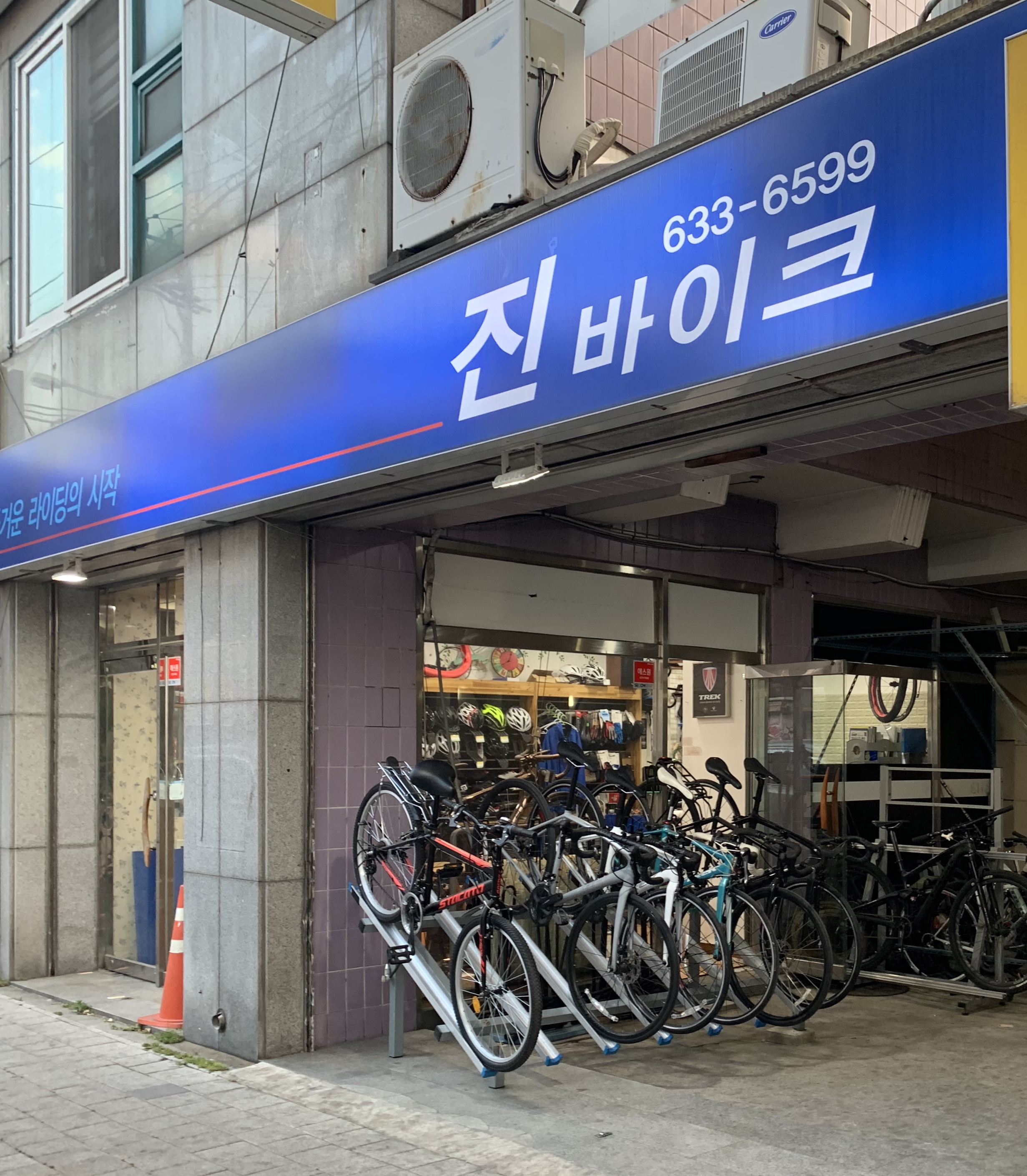 진바이크 대표 이미지