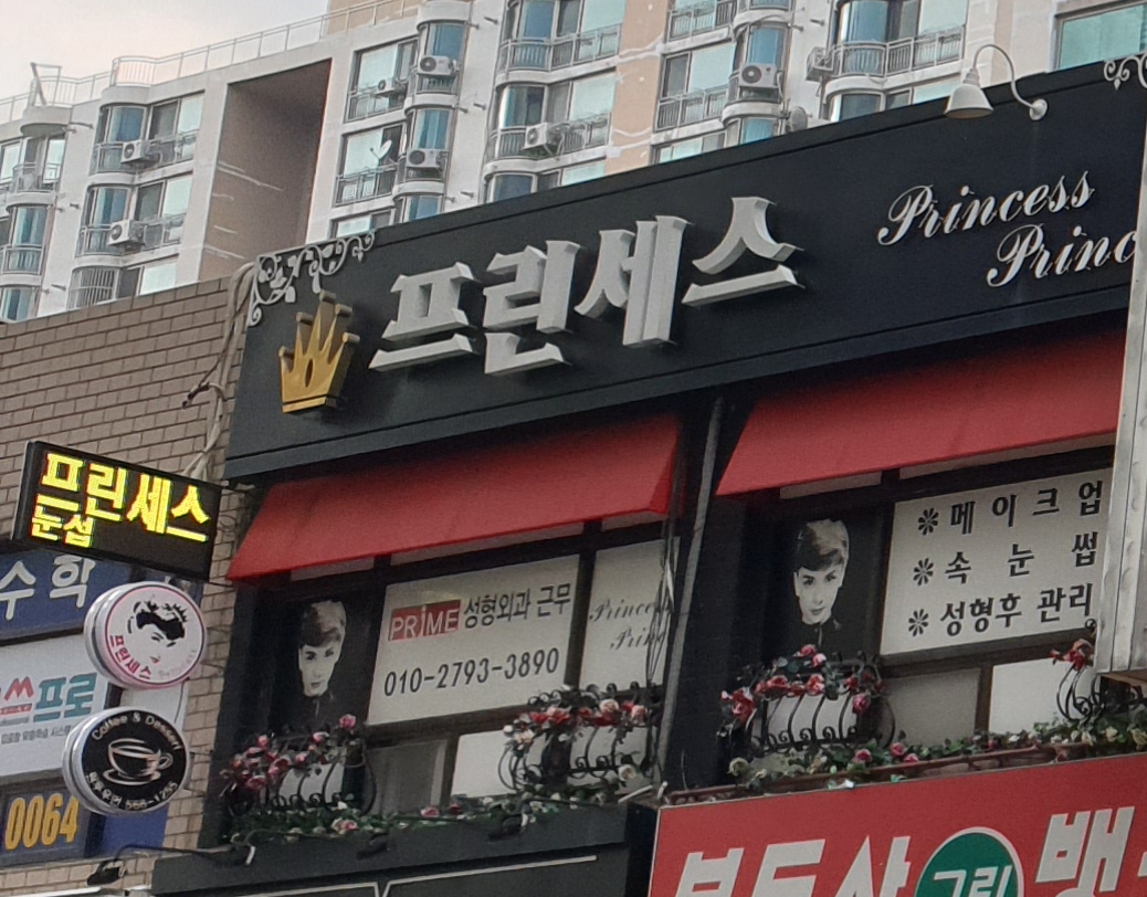 프린세스