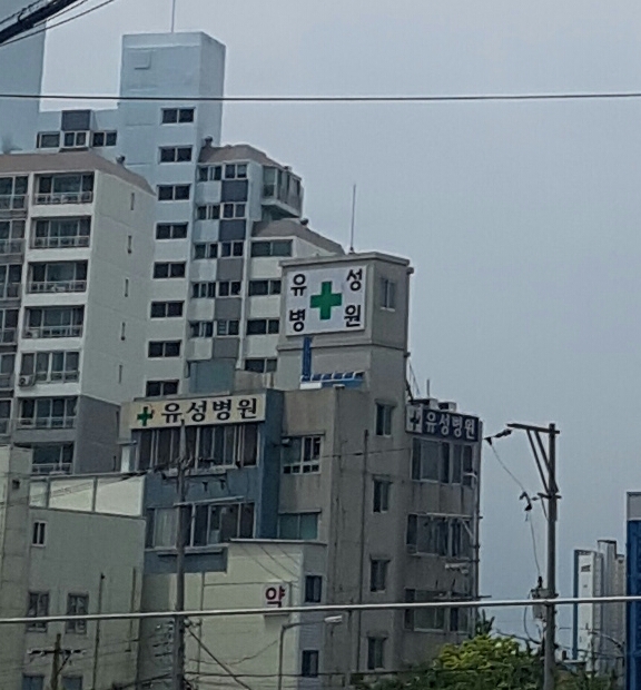 유성의원