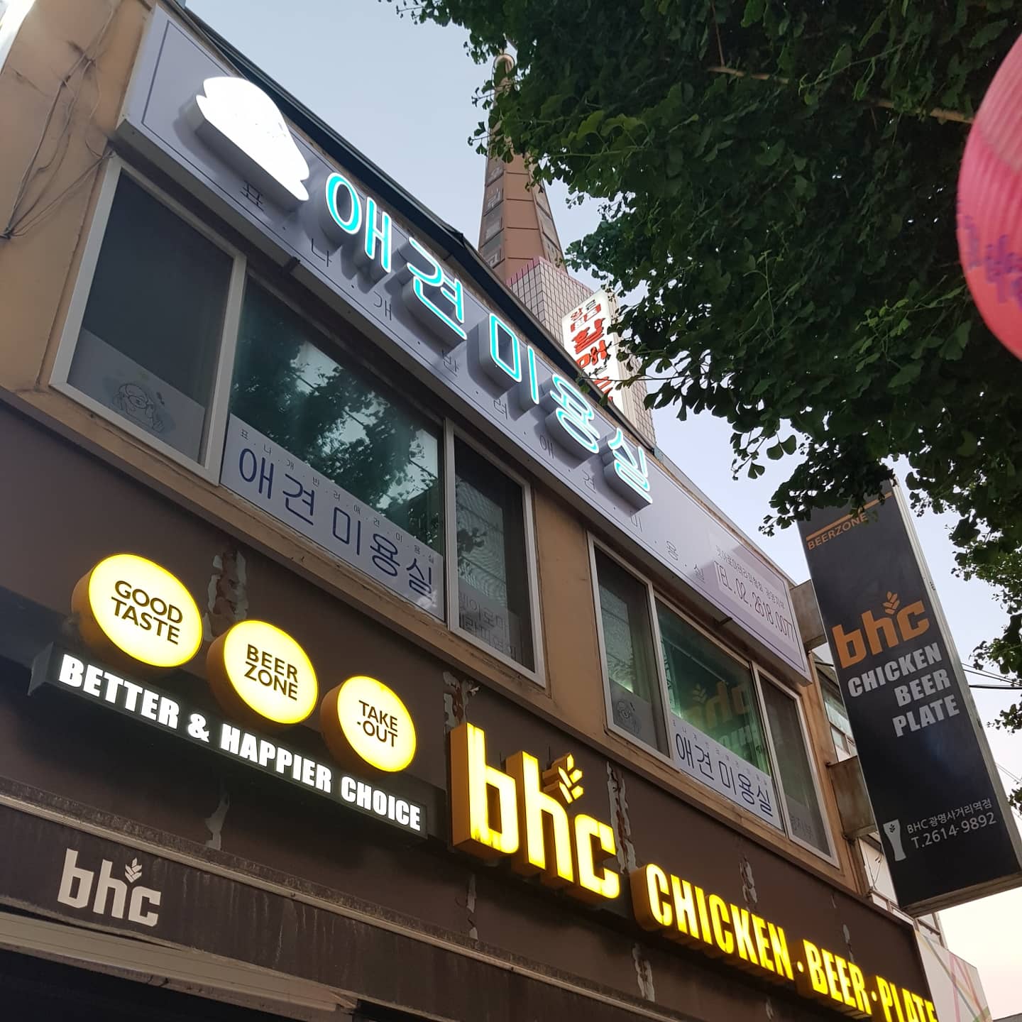 표나개반려애견미용실