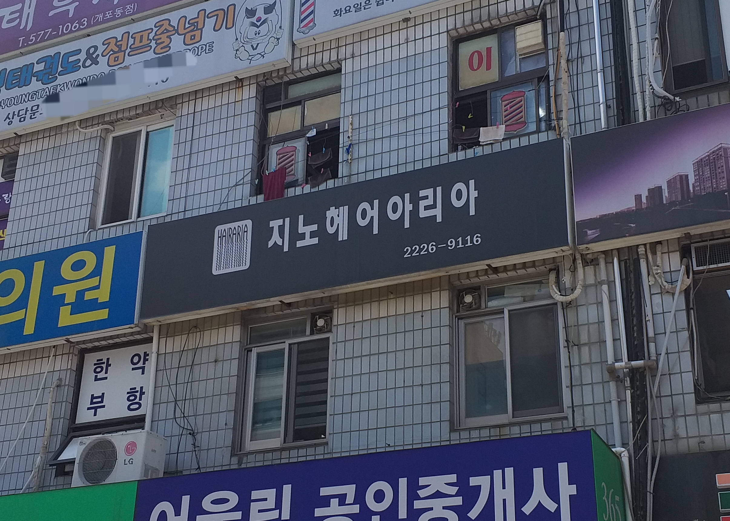 지노헤어아리아